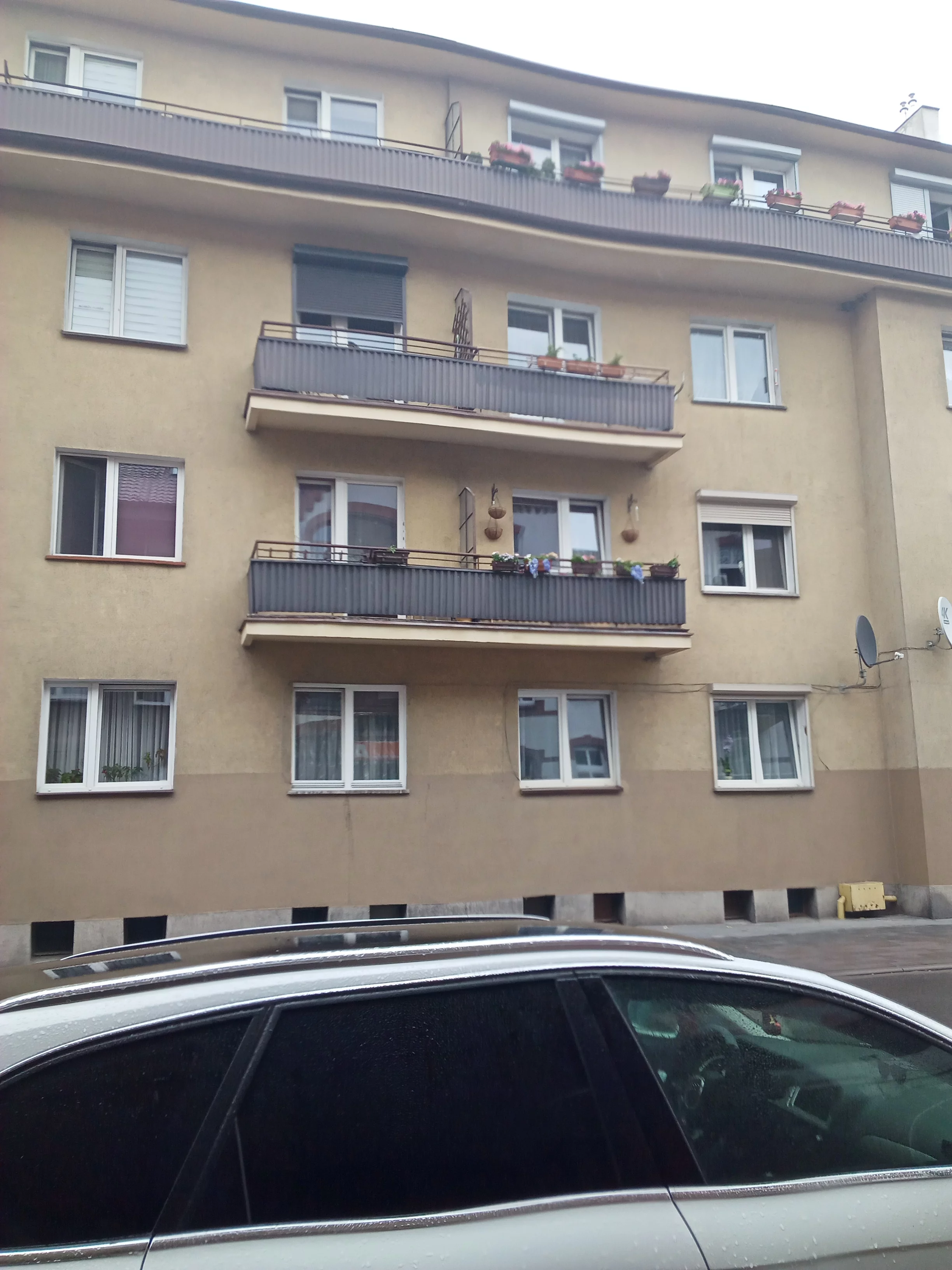 10220779 - zdjęcie nr 3