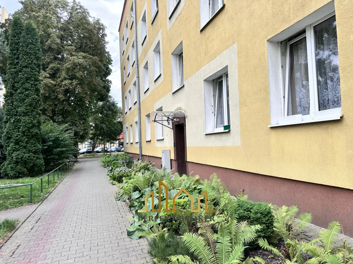 PB386994 - zdjęcie nr 2