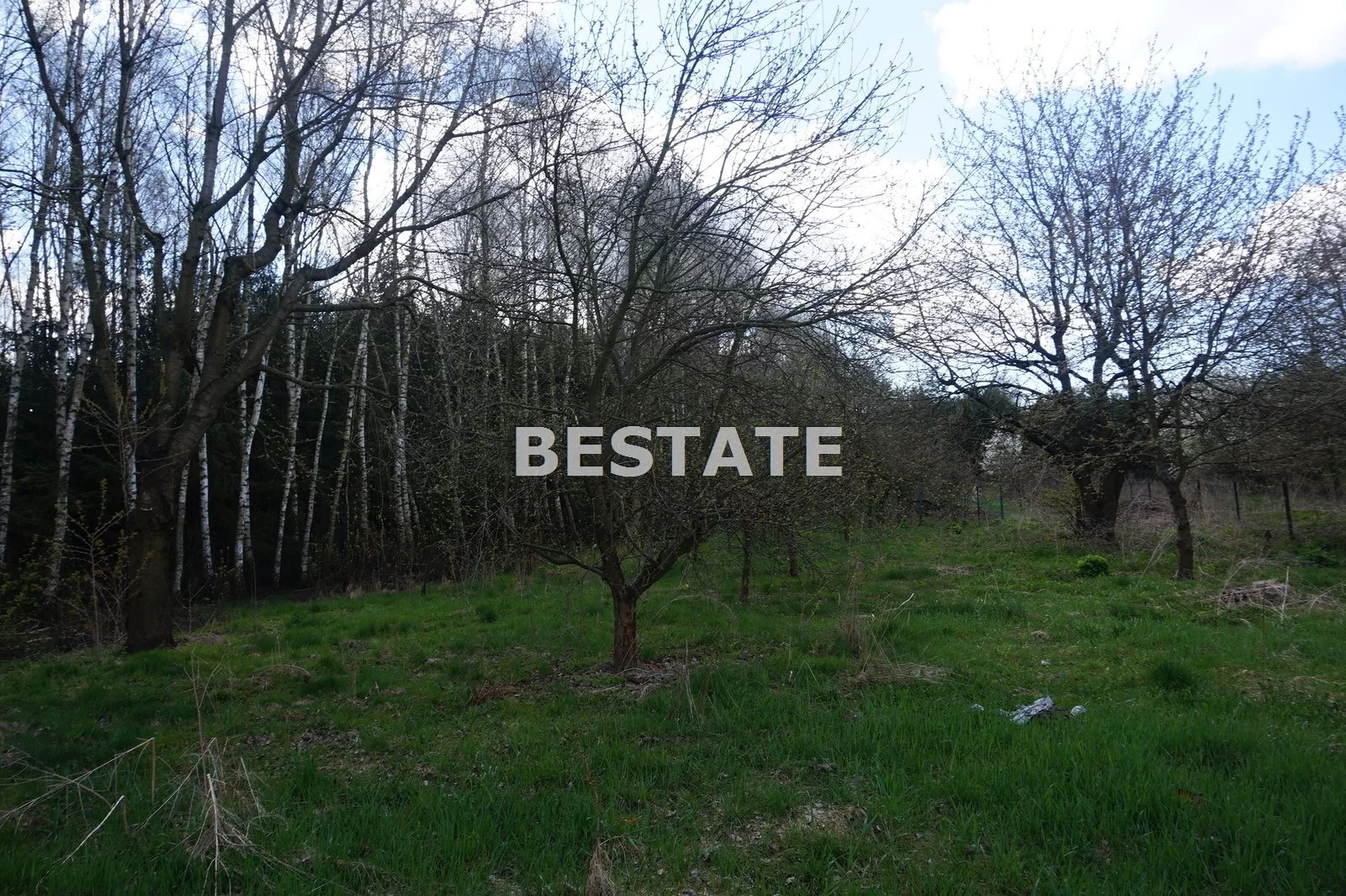 BESP-DS-1785-99 - zdjęcie nr 1