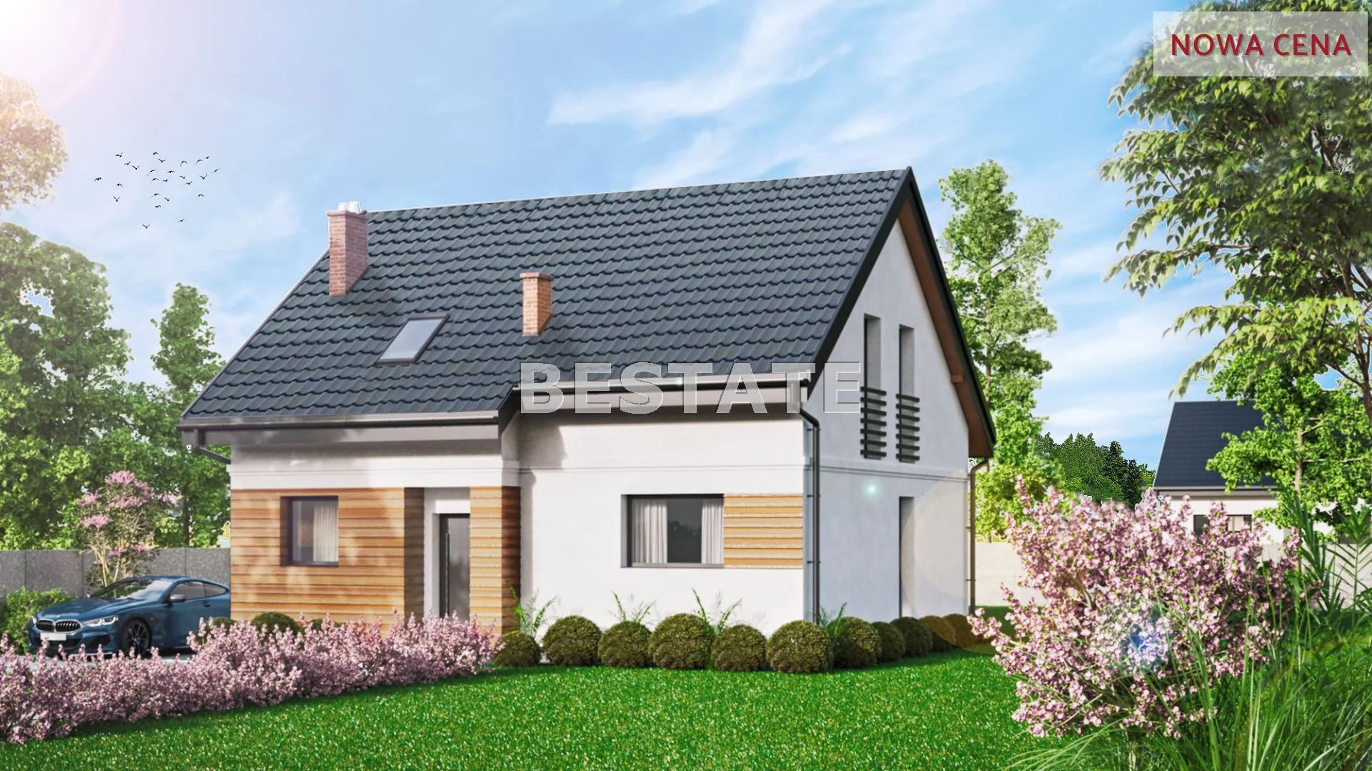 Domy BESP-DS-13232-29 Drużbice