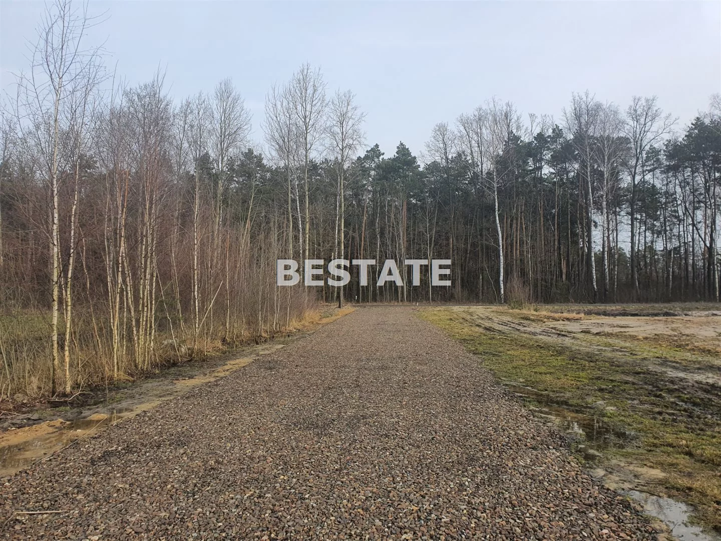 BESP-DS-13232-29 - zdjęcie nr 4