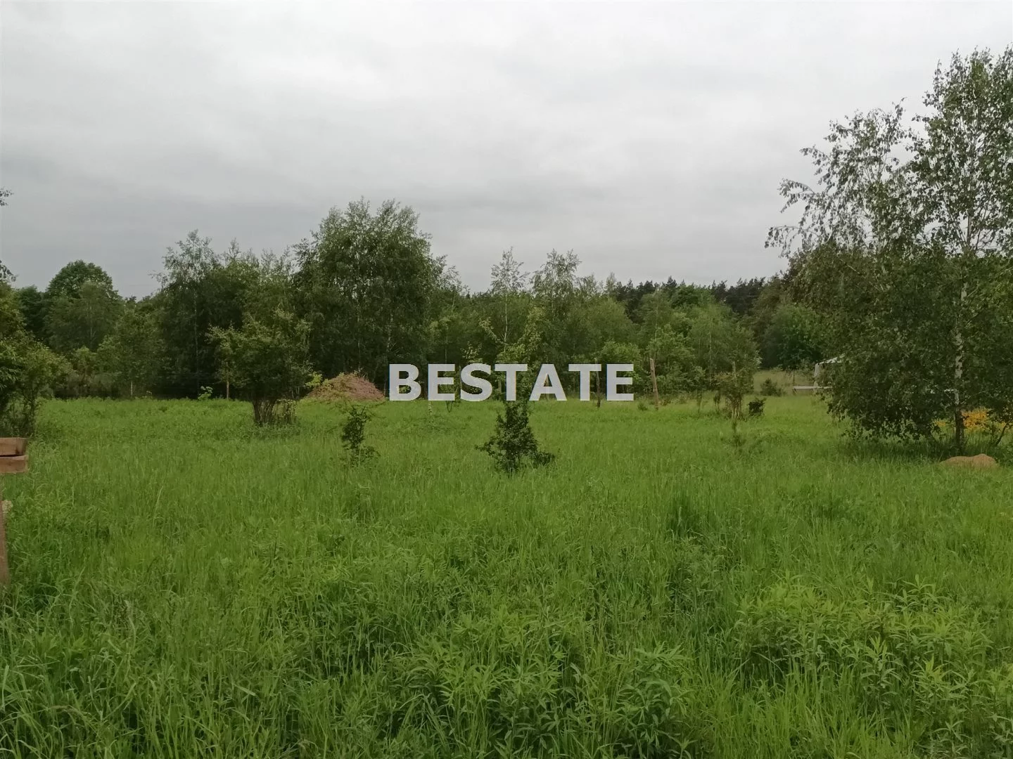 BESW-DS-13417 - zdjęcie nr 0