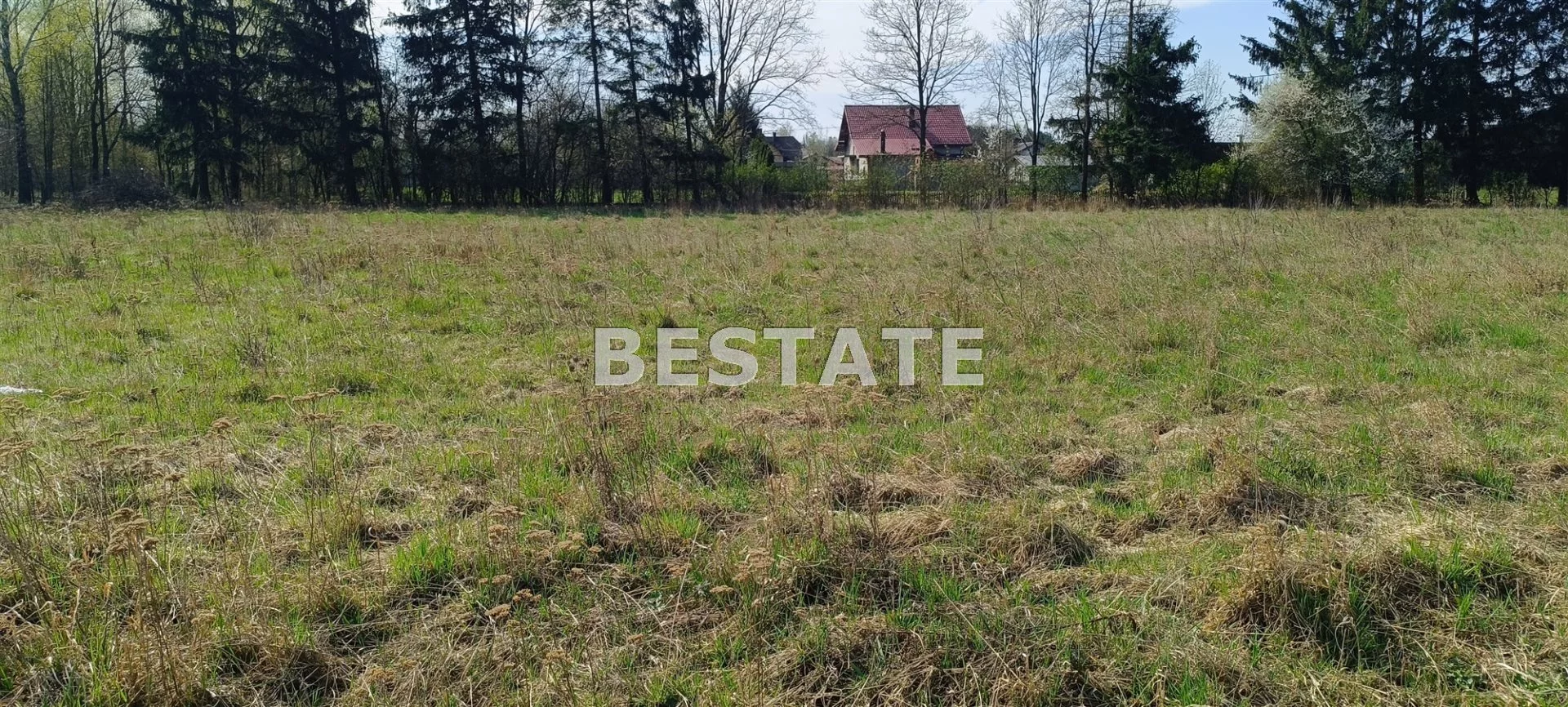 BESP-GS-14846 - zdjęcie nr 3