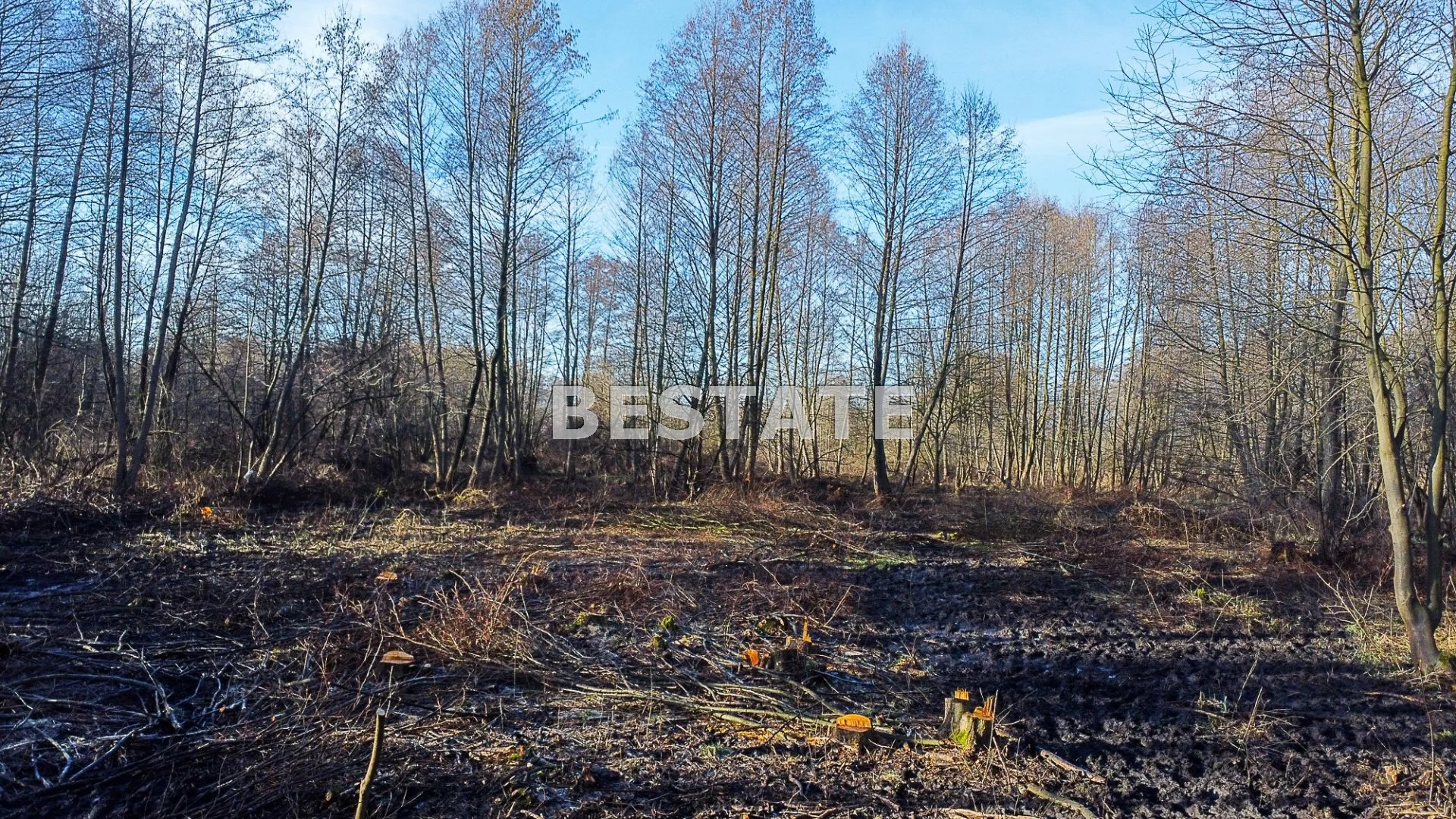 Działka 3 157,00 m², oferta nr , BEST-GS-12698-8, Brzesko