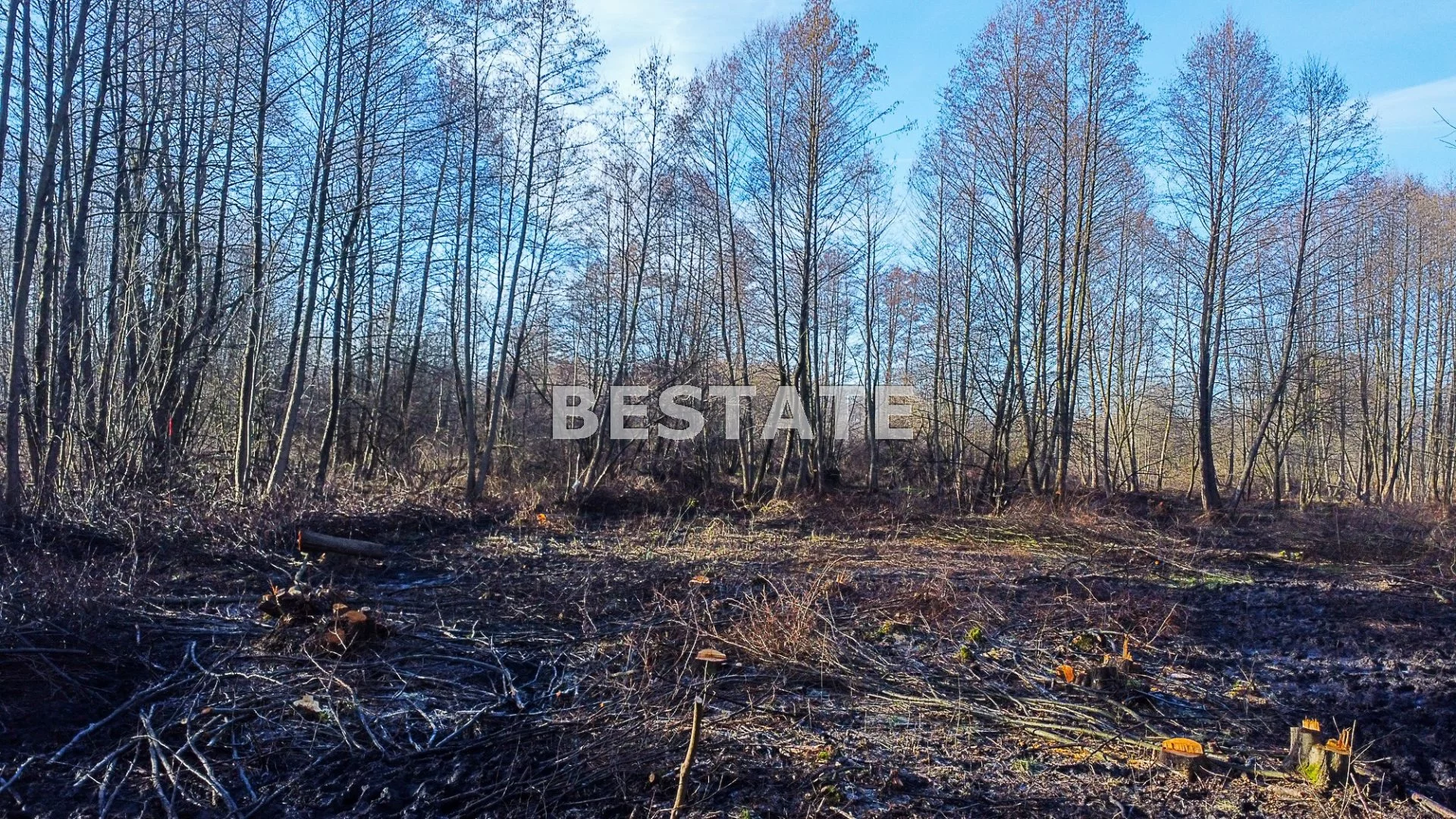 Działka 3 157,00 m², oferta nr , BEST-GS-12698-8, Brzesko