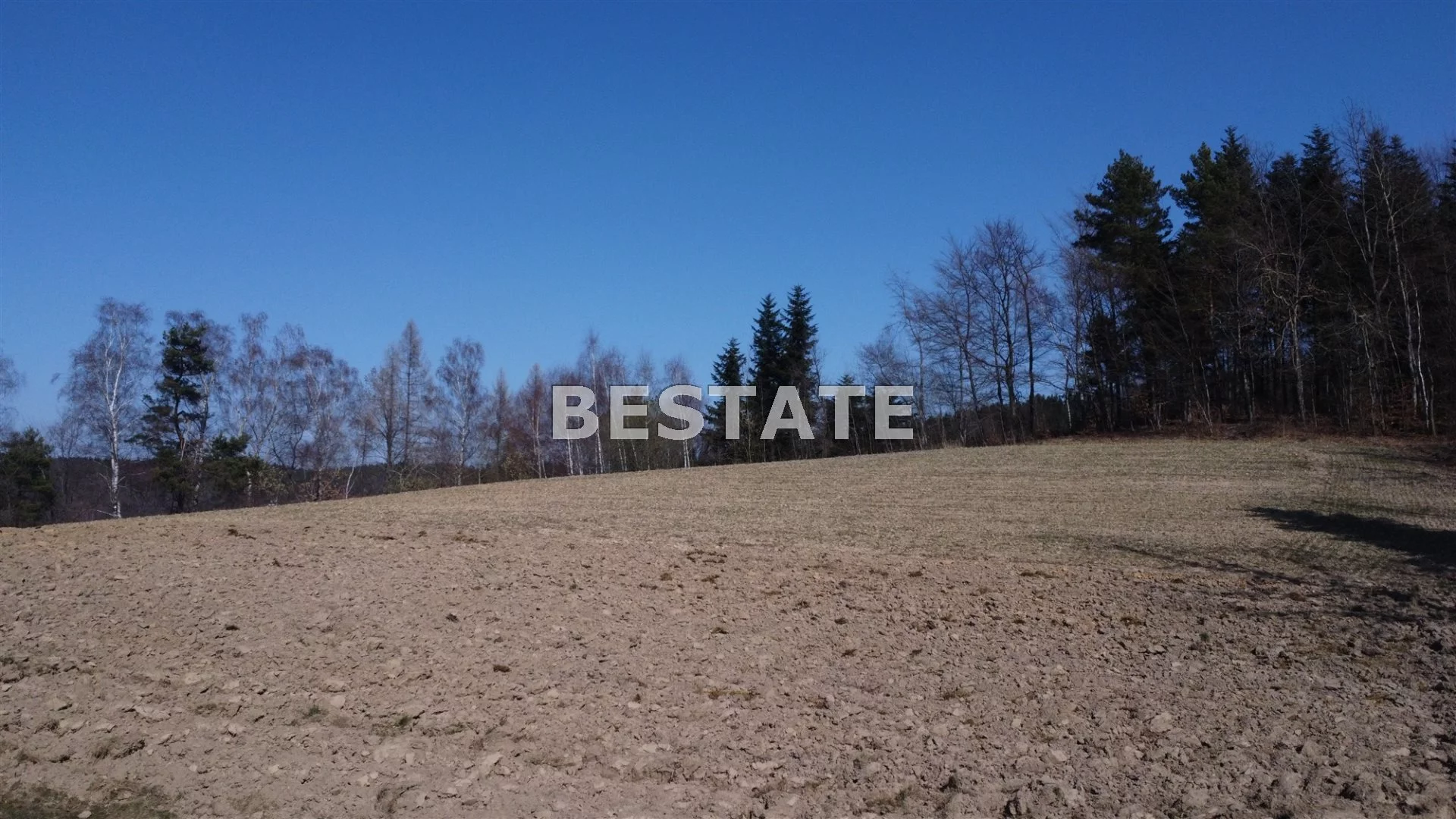 BEST-GS-12553 - zdjęcie nr 1