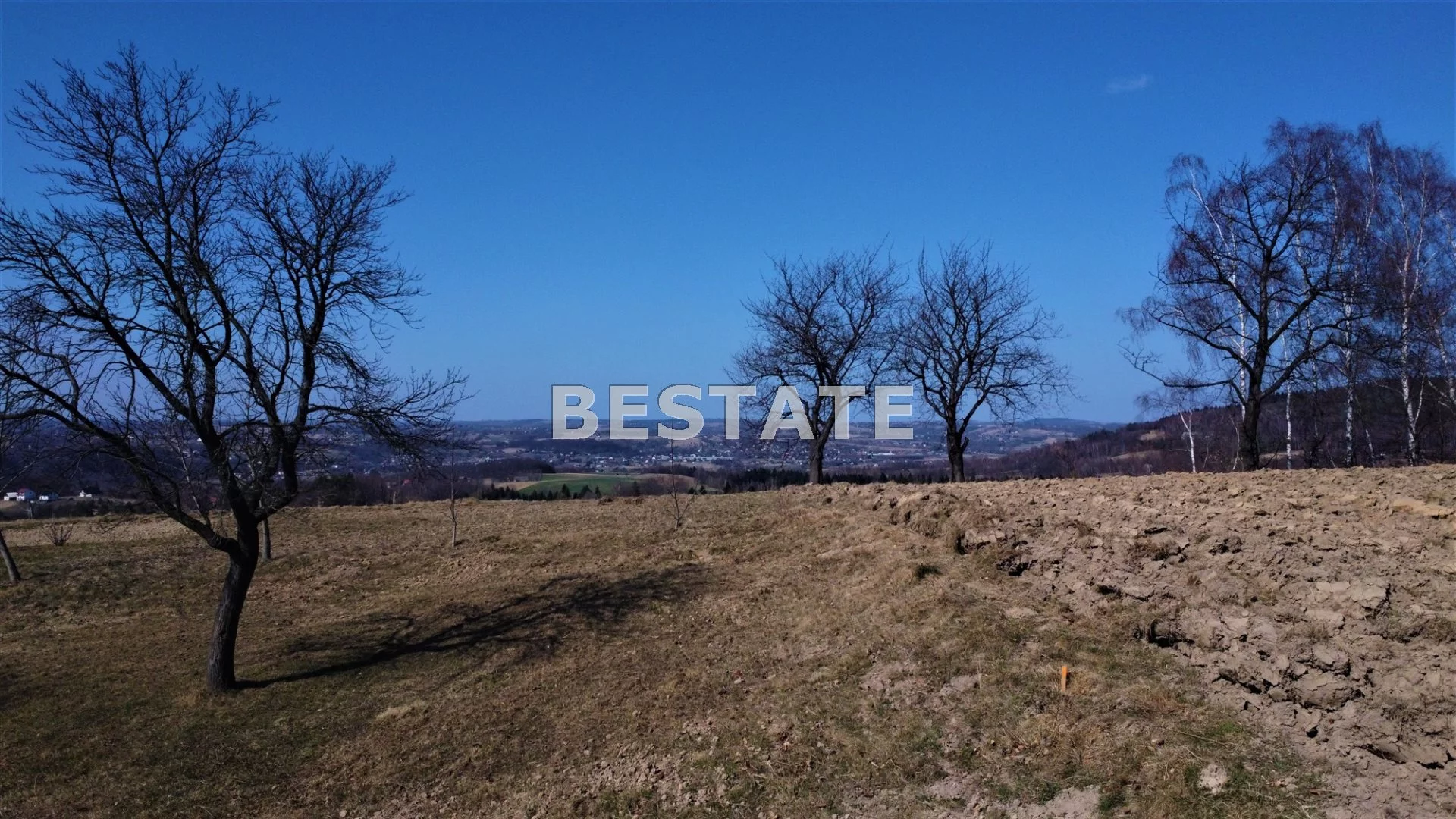 BEST-GS-12553 - zdjęcie nr 3