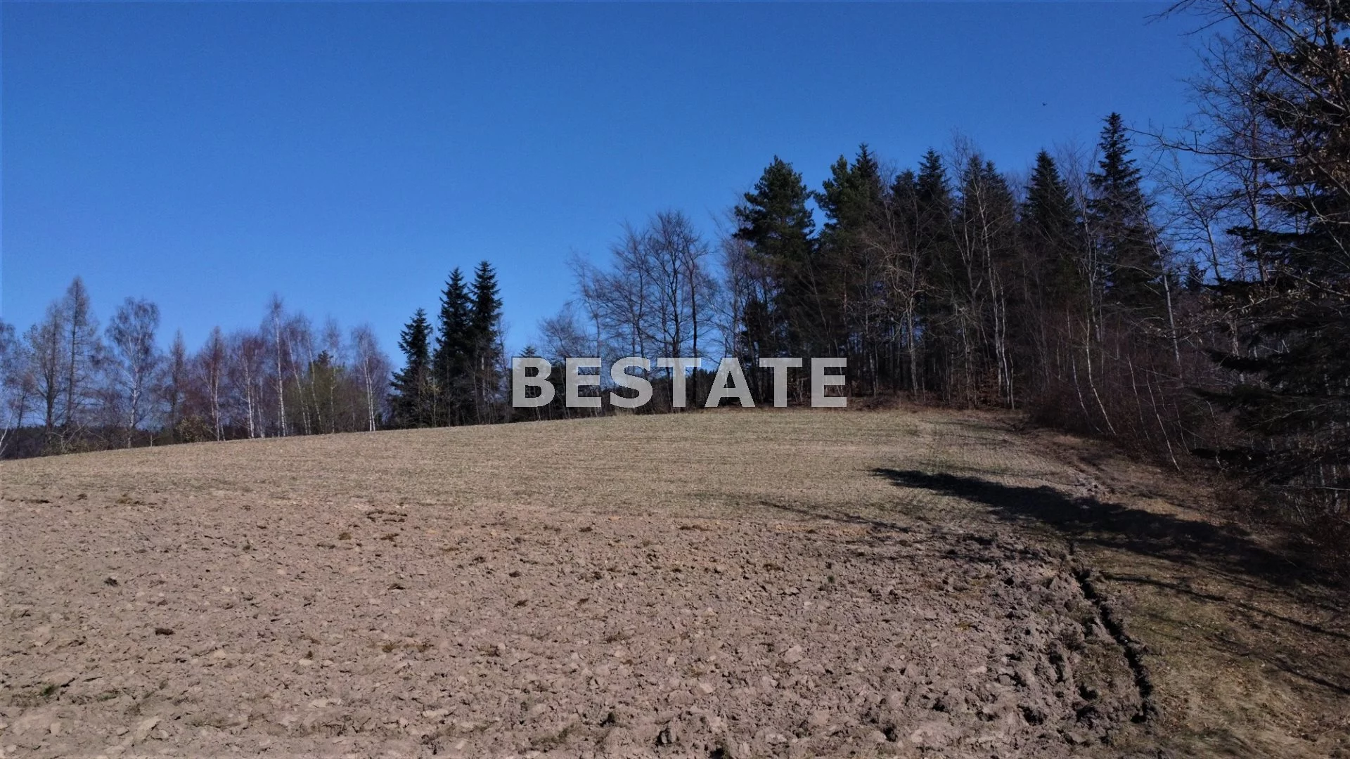 BEST-GS-12553 - zdjęcie nr 4