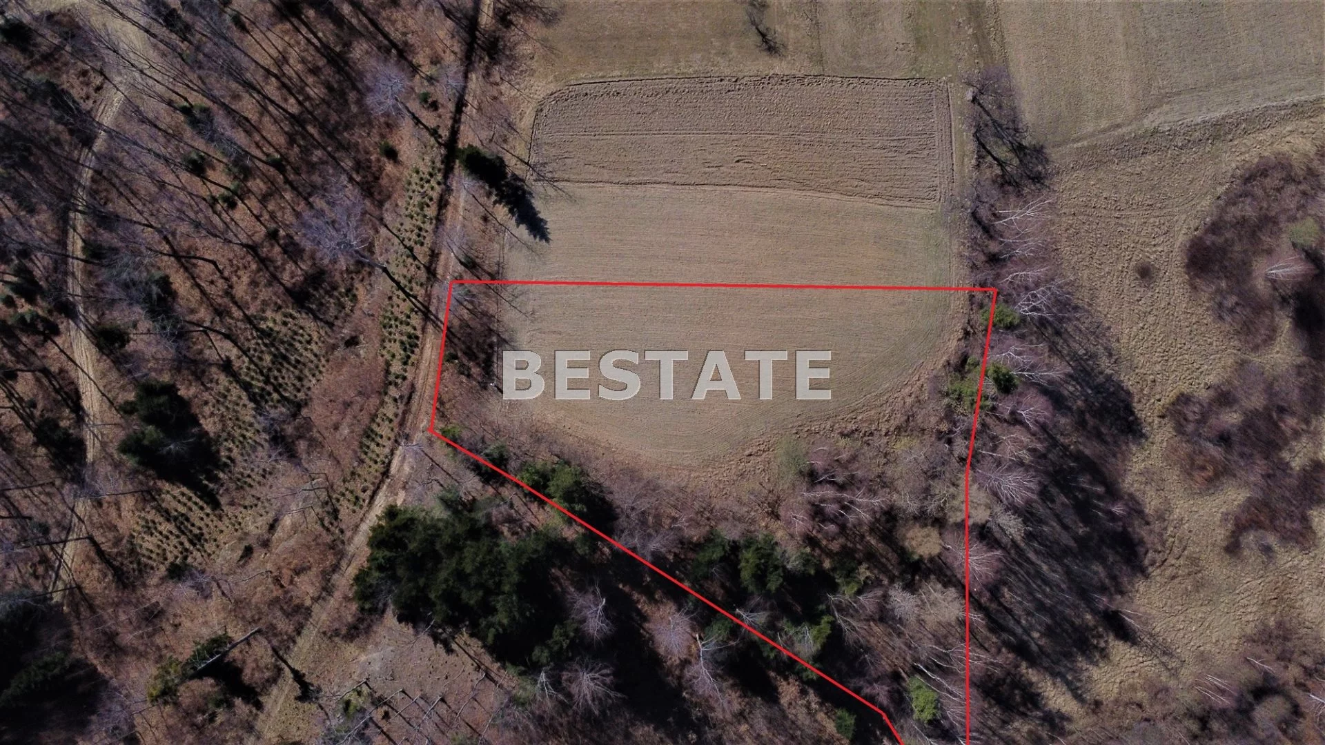 BEST-GS-12553 - zdjęcie nr 5