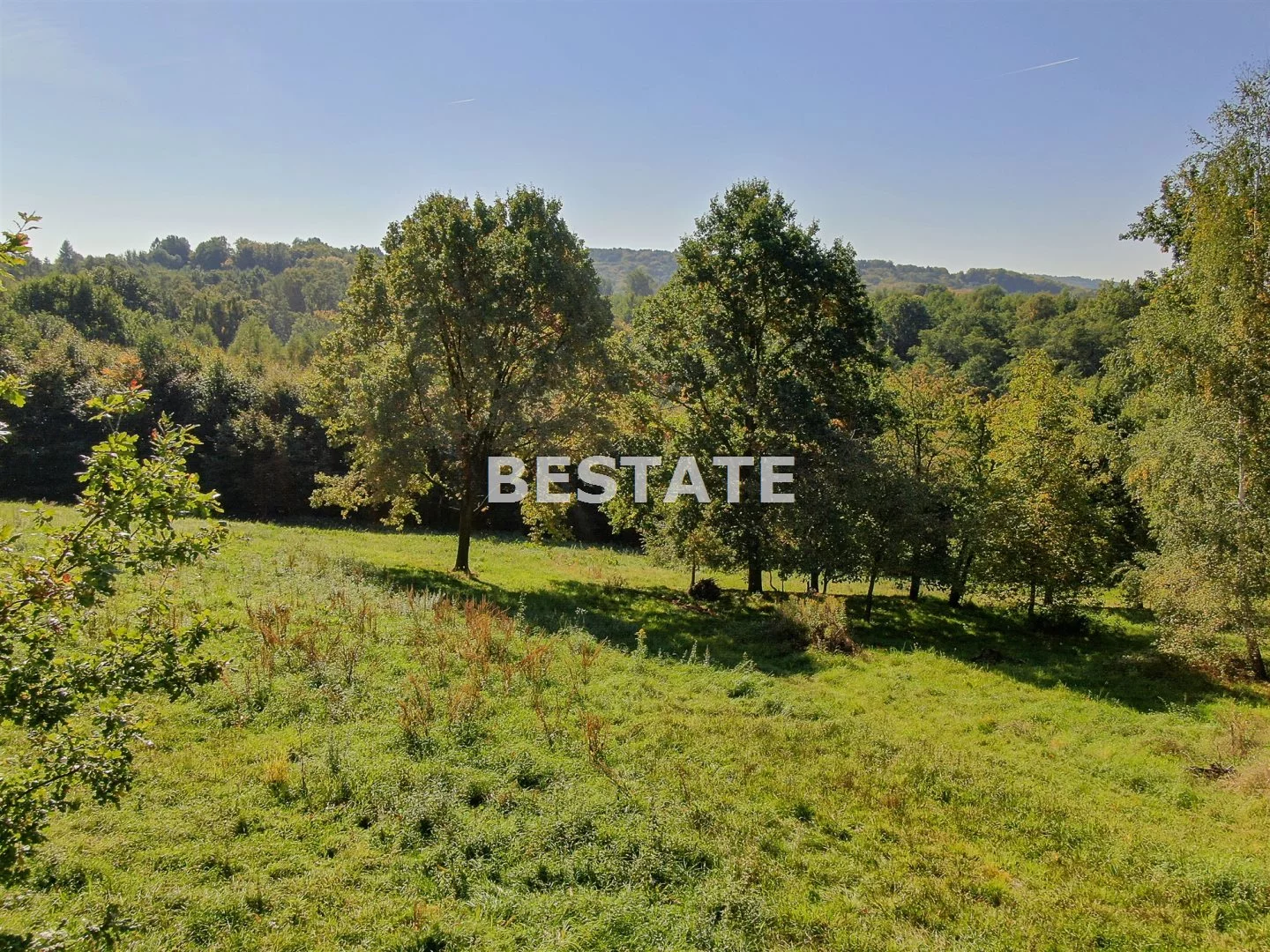 BEST-GS-12149 - zdjęcie nr 4