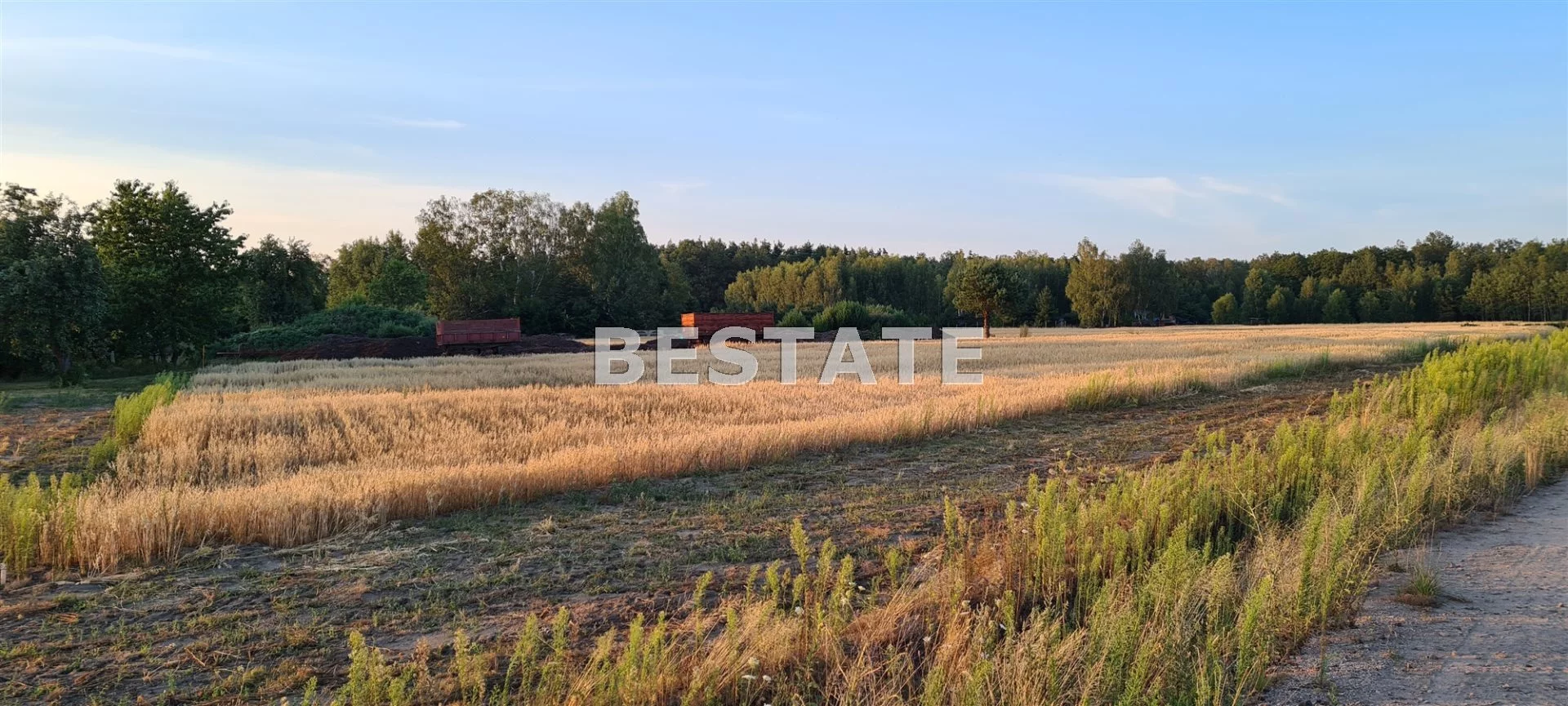 BESP-GS-12961-13 - zdjęcie nr 2