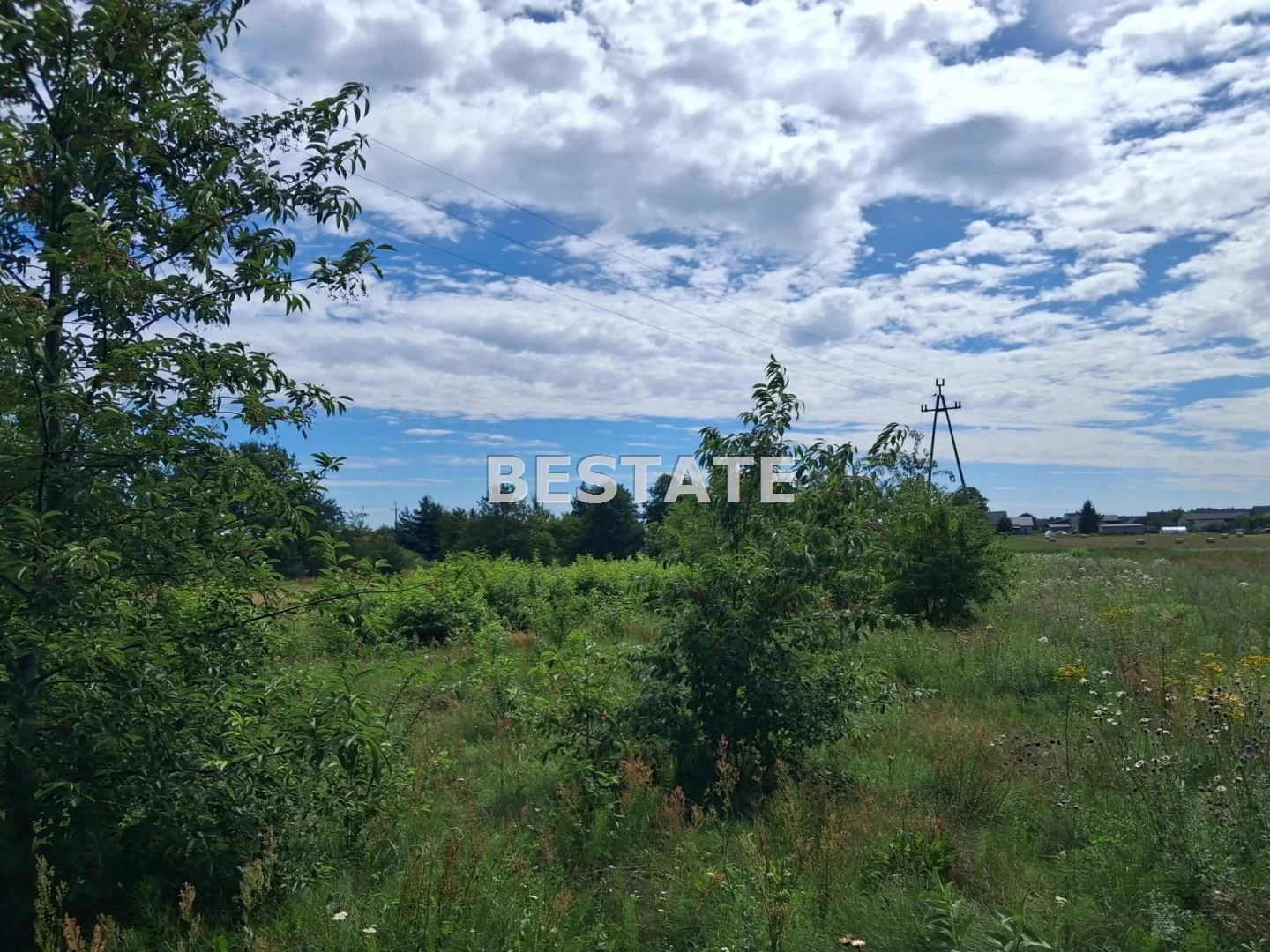 BESP-GS-15015 - zdjęcie nr 3