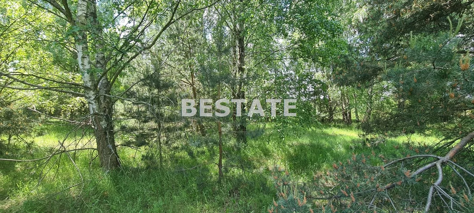 Działka 1 132,00 m², oferta nr , BESP-GS-3200-12, Drużbice