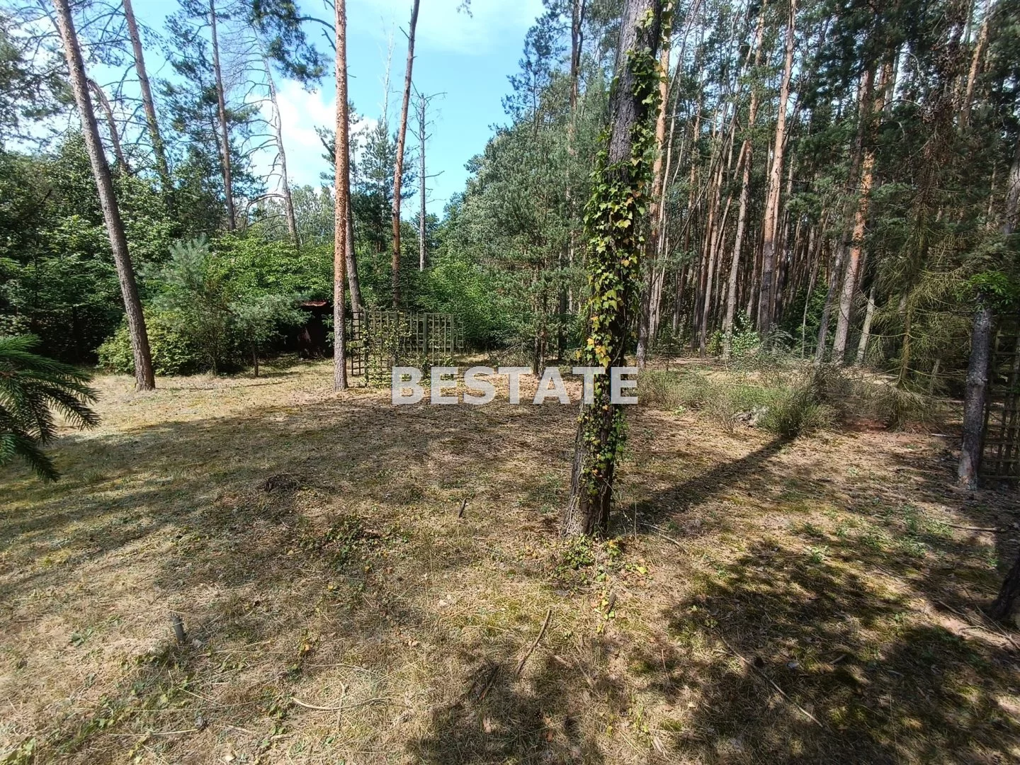 BESP-GS-14990 - zdjęcie nr 0