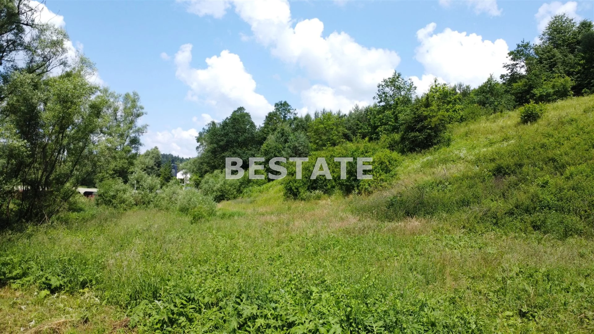 BEST-GS-13494 - zdjęcie nr 1