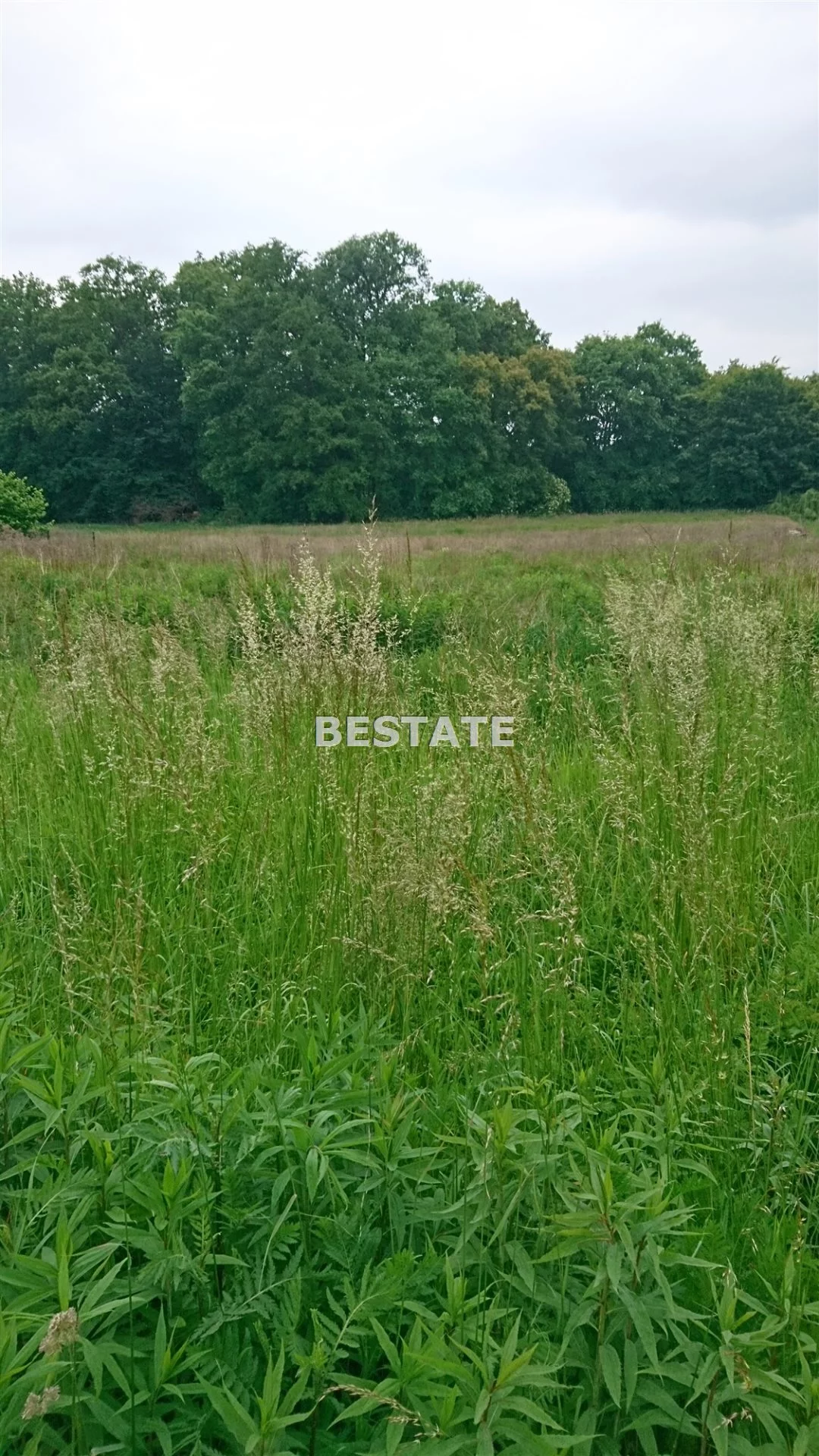 BESW-GS-13121 - zdjęcie nr 0