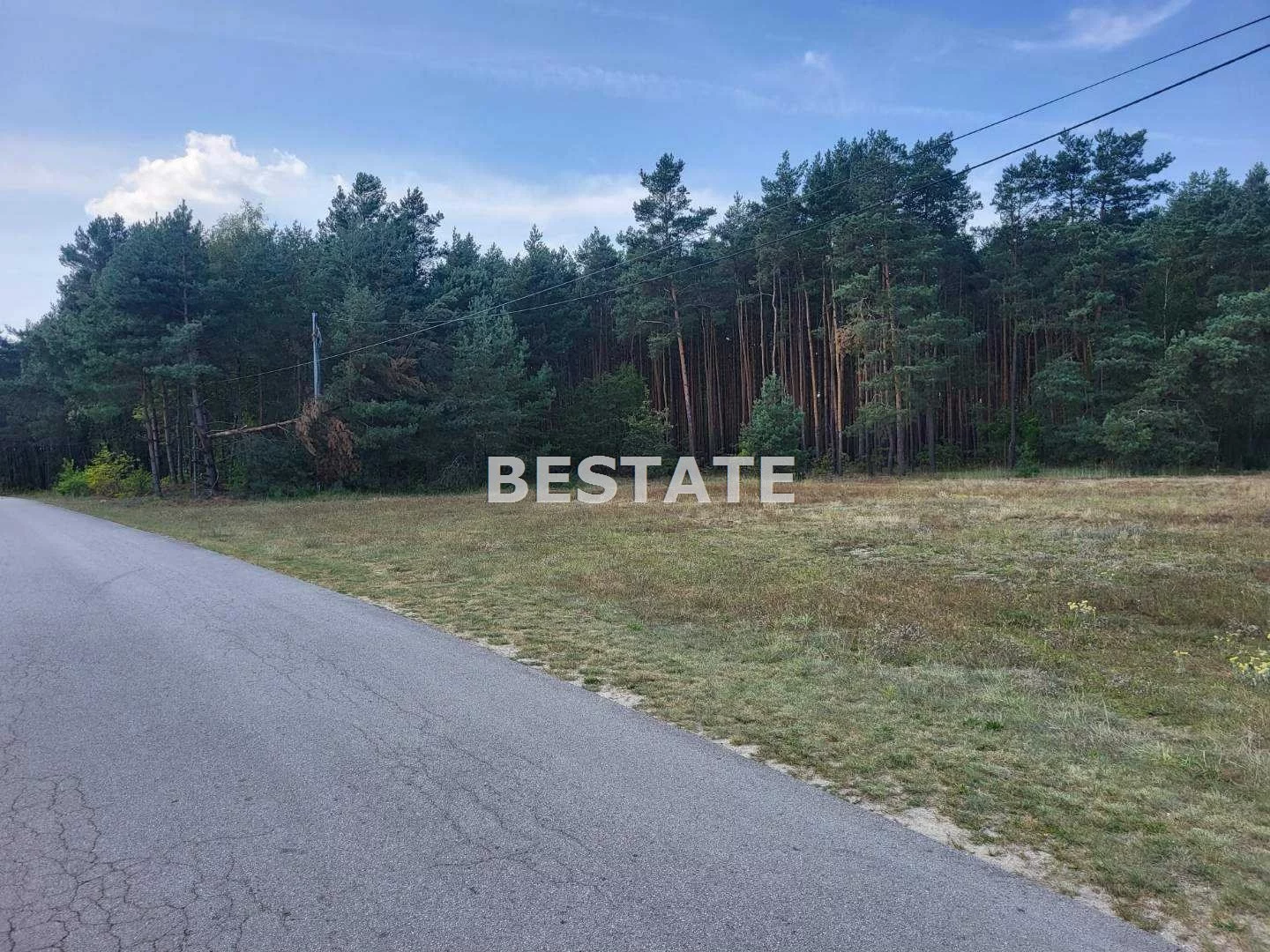 BESP-GS-14391-17 - zdjęcie nr 0