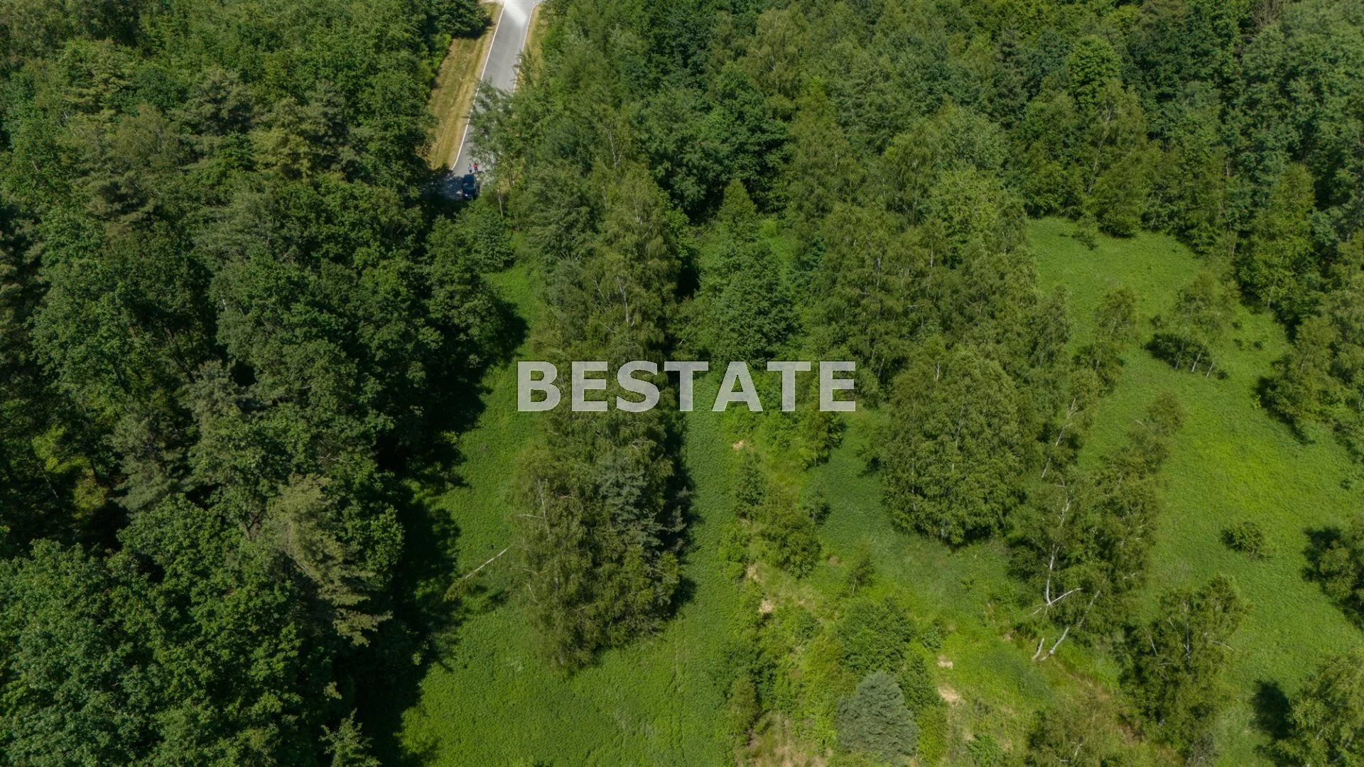 Działka 14 000,00 m², oferta nr , BEST-GS-14247, Lisia Góra