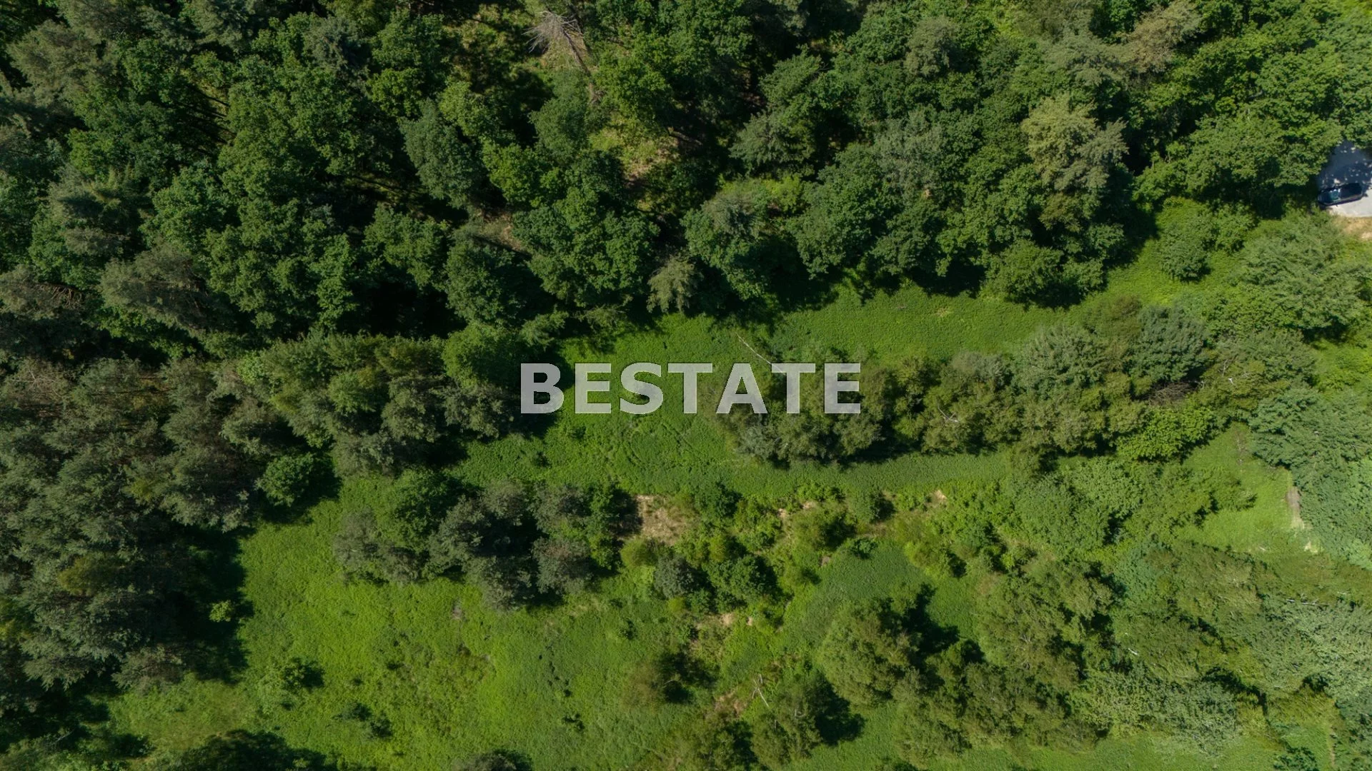 BEST-GS-14247 - zdjęcie nr 3