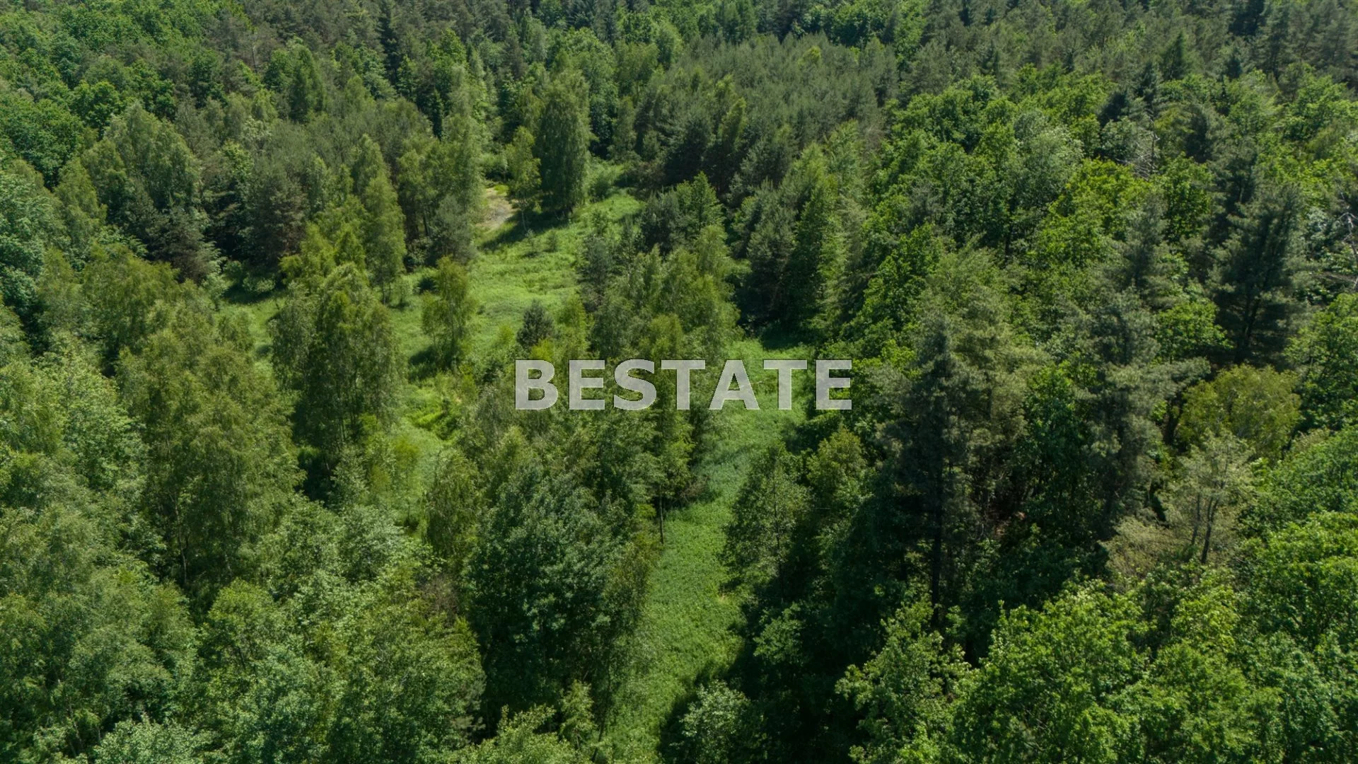 BEST-GS-14247 - zdjęcie nr 4