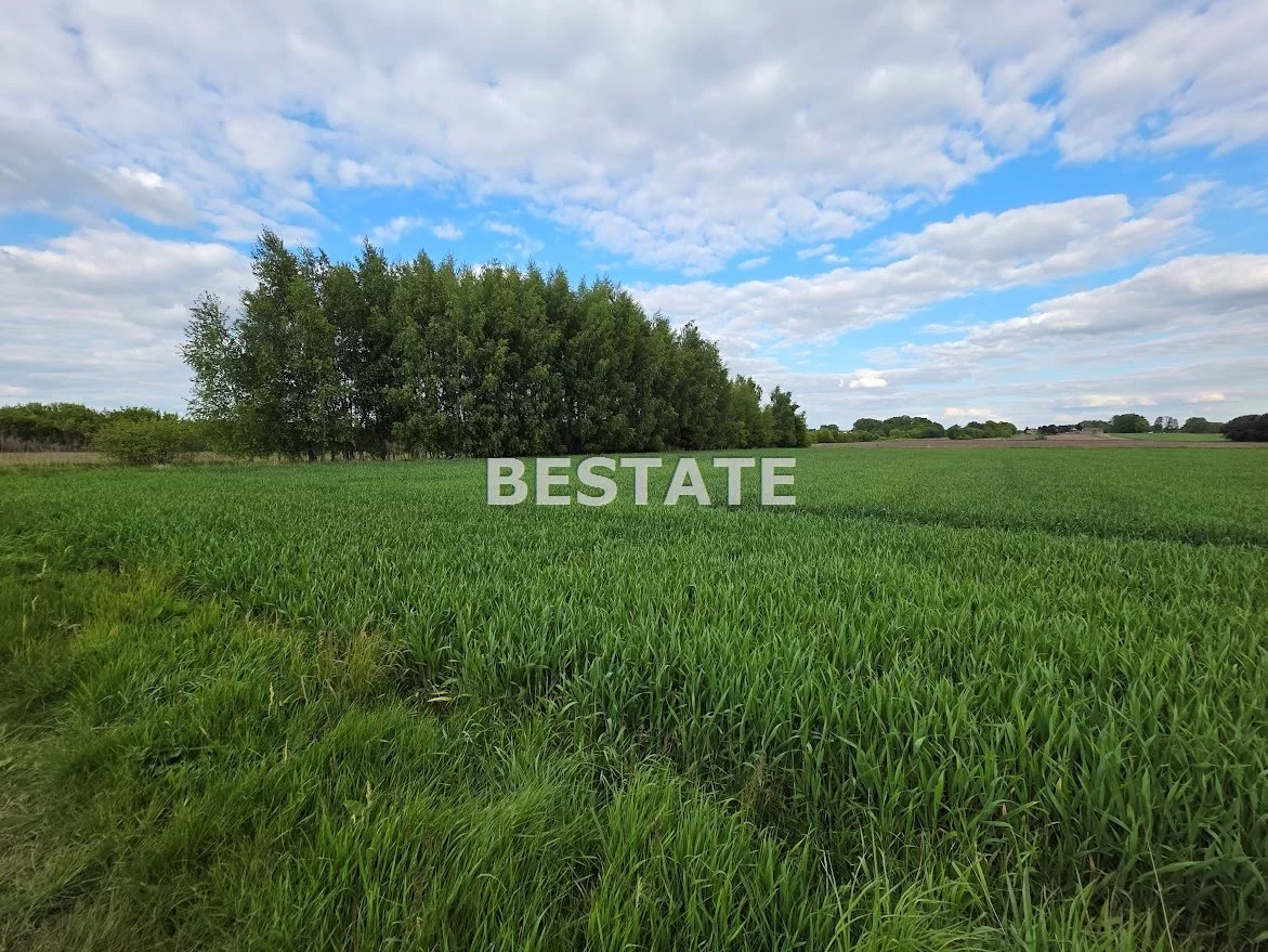 BESP-GS-14890-1 - zdjęcie nr 4