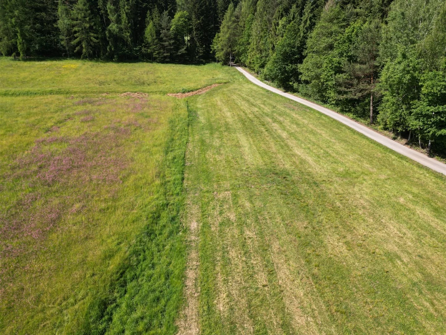 Działka 2 400,00 m², oferta nr , BESK-GS-14714, Lubień