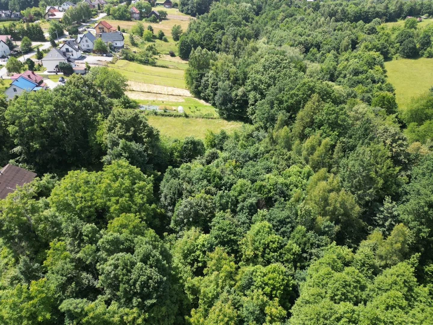 Działka 11 060,00 m², oferta nr , BESK-GS-14982, Mogilany