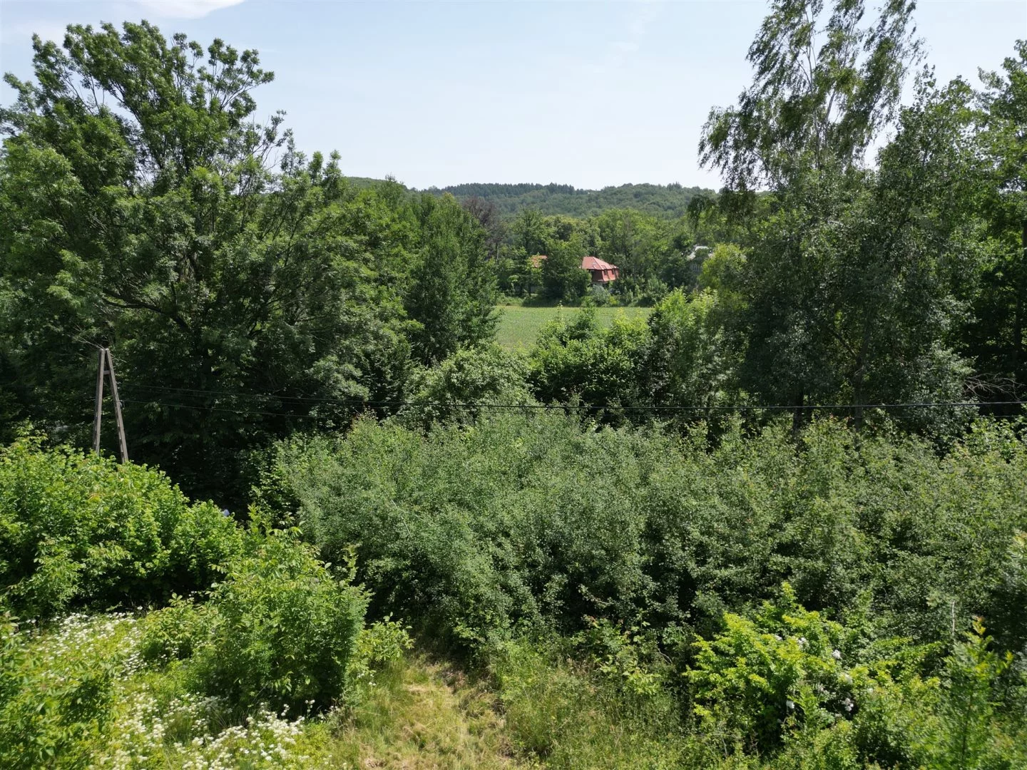 Działka 11 060,00 m², oferta nr , BESK-GS-14982, Mogilany