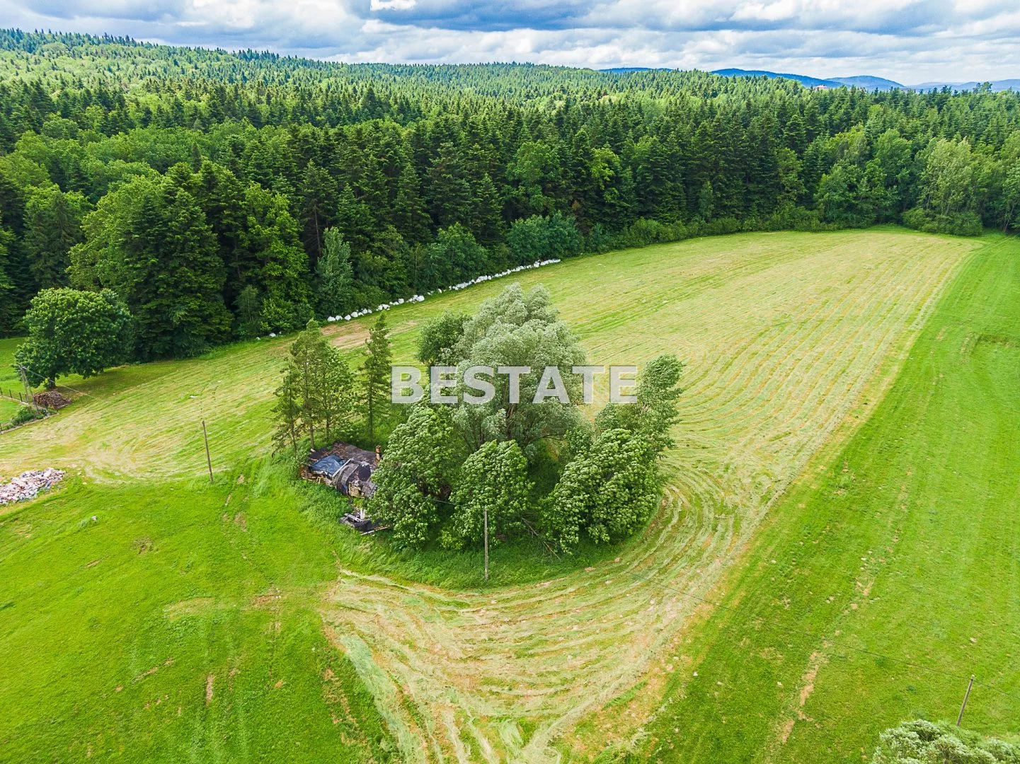 BEST-GS-13489-1 - zdjęcie nr 0