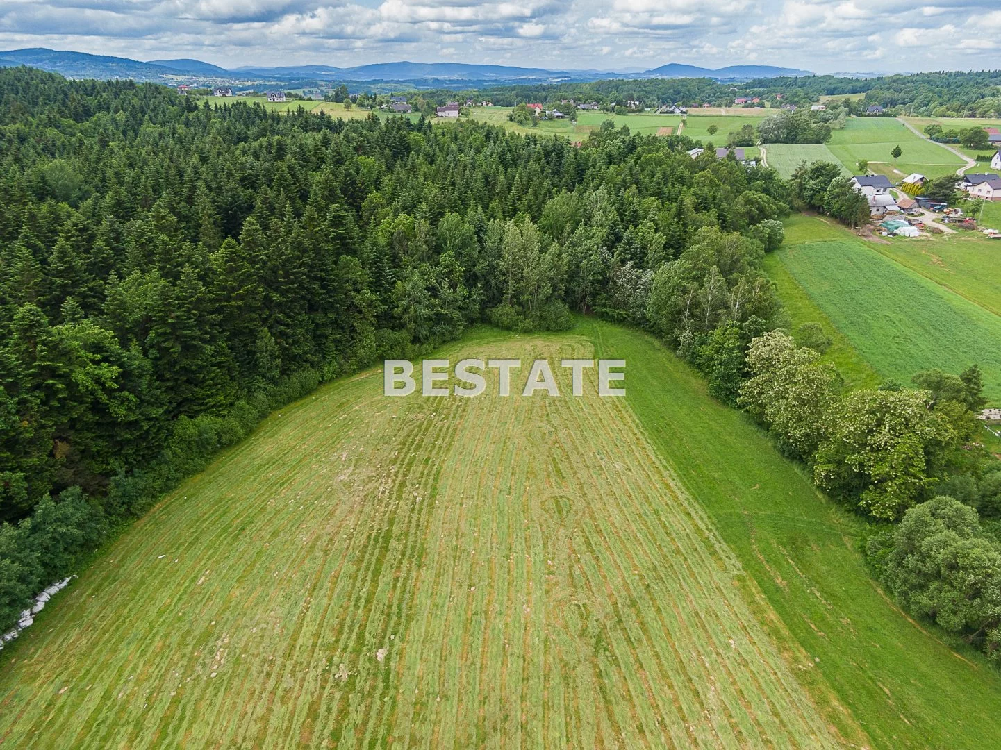 BEST-GS-13489-1 - zdjęcie nr 1