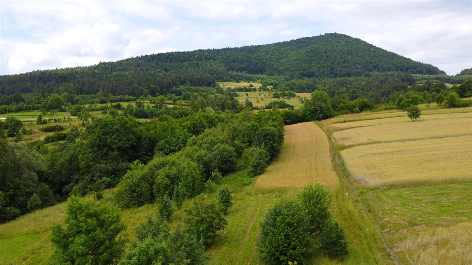 Działka 7 700,00 m², oferta nr , BESK-GS-14468, Mszana Dolna