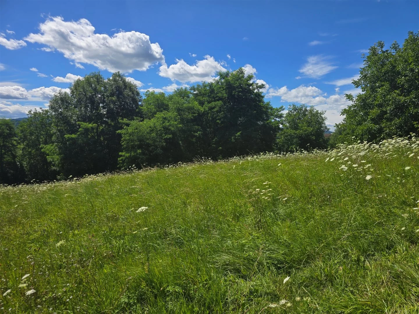 Działka 3 650,00 m², oferta nr , BESK-GS-14875, Myślenice