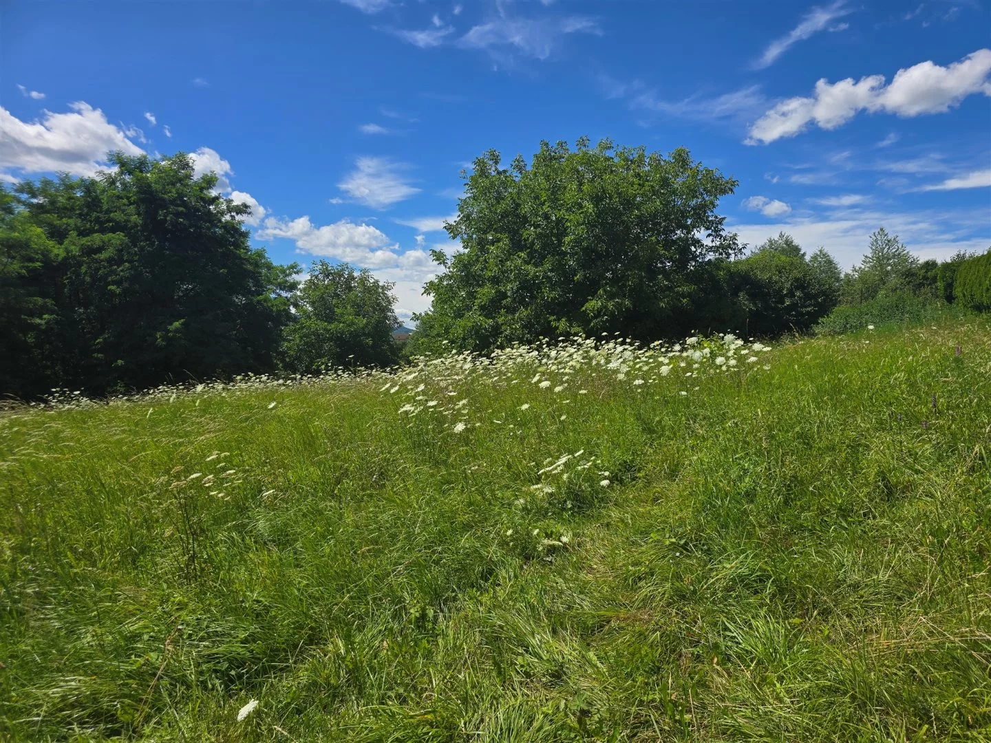 Działka 3 650,00 m², oferta nr , BESK-GS-14875, Myślenice