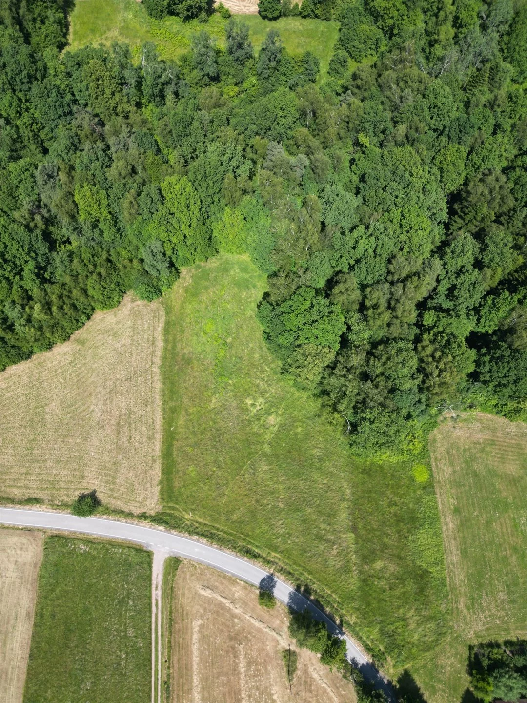 Działka 1 230,00 m², oferta nr , BESK-GS-14950, Myślenice