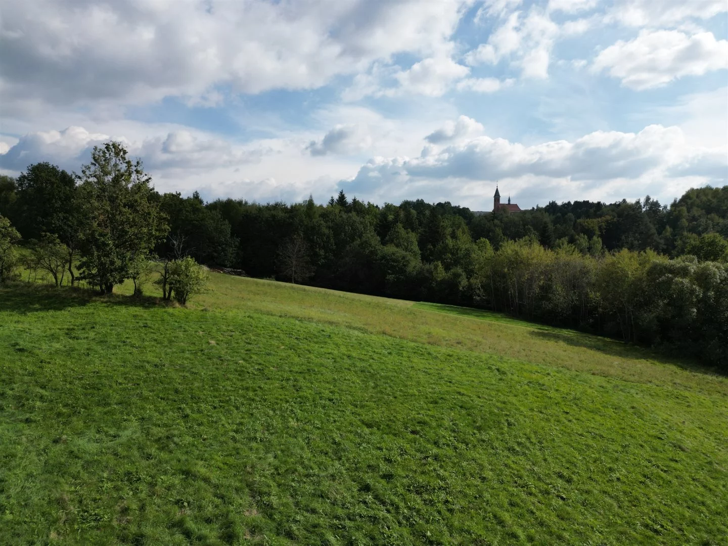 Działka 1 200,00 m², oferta nr , BESK-GS-15114, Myślenice