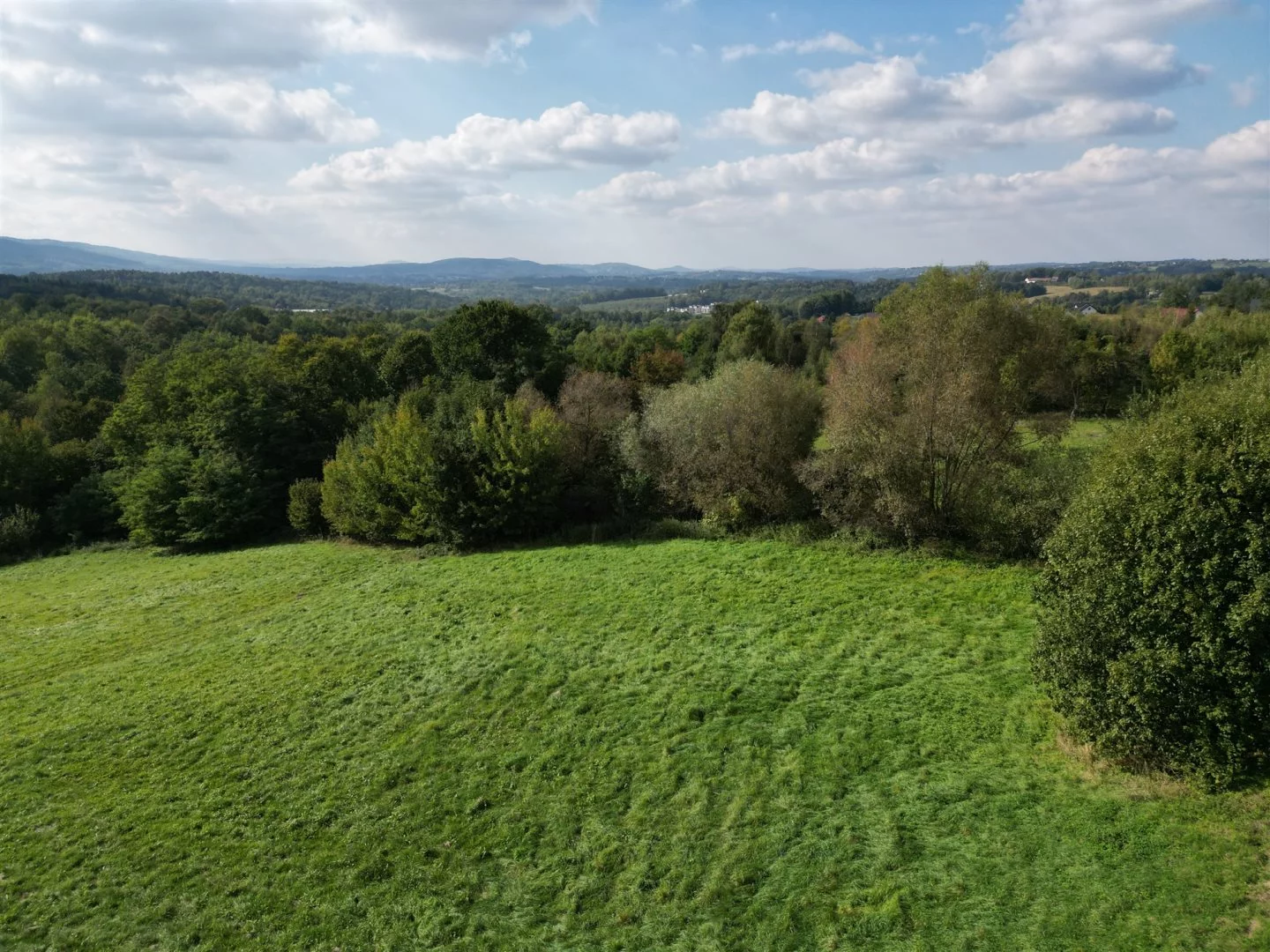 Działka 1 200,00 m², oferta nr , BESK-GS-15114, Myślenice