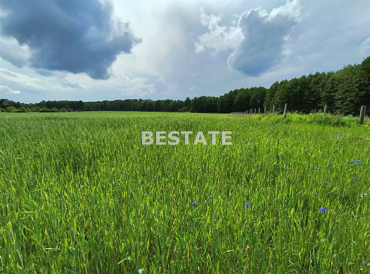 BESW-GS-14925 - zdjęcie nr 3