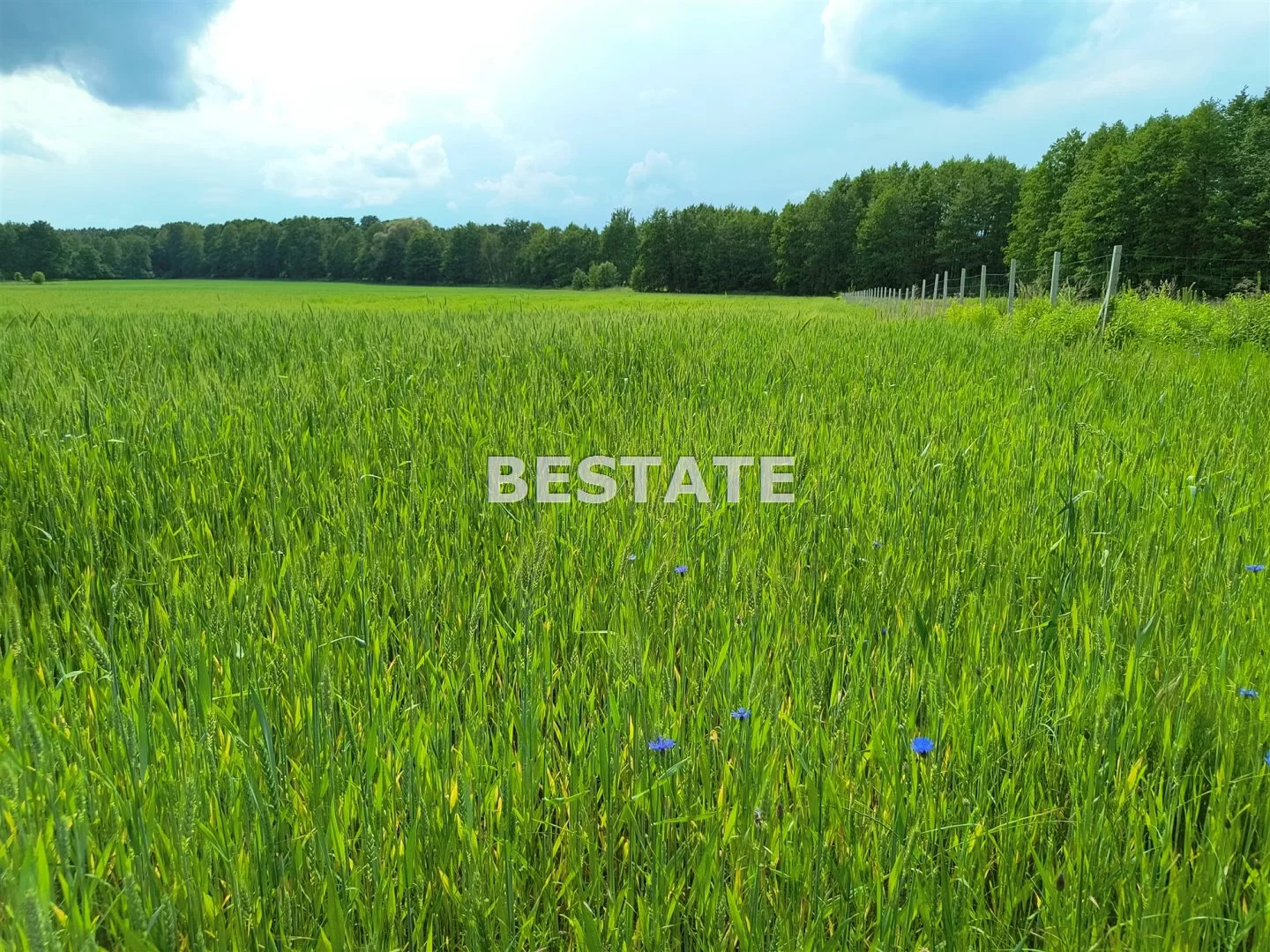 BESW-GS-14925 - zdjęcie nr 5
