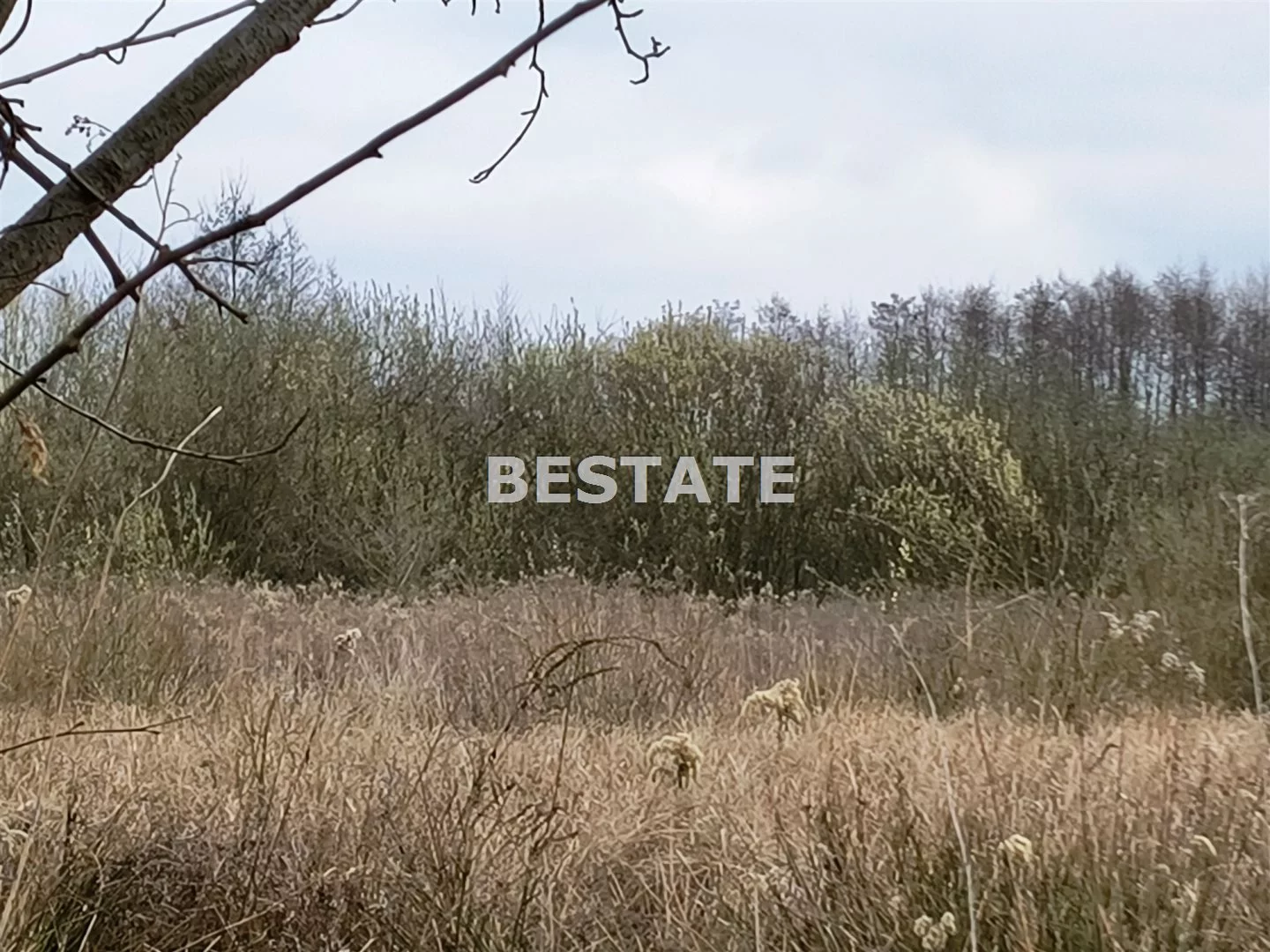 BESW-GS-14785 - zdjęcie nr 0