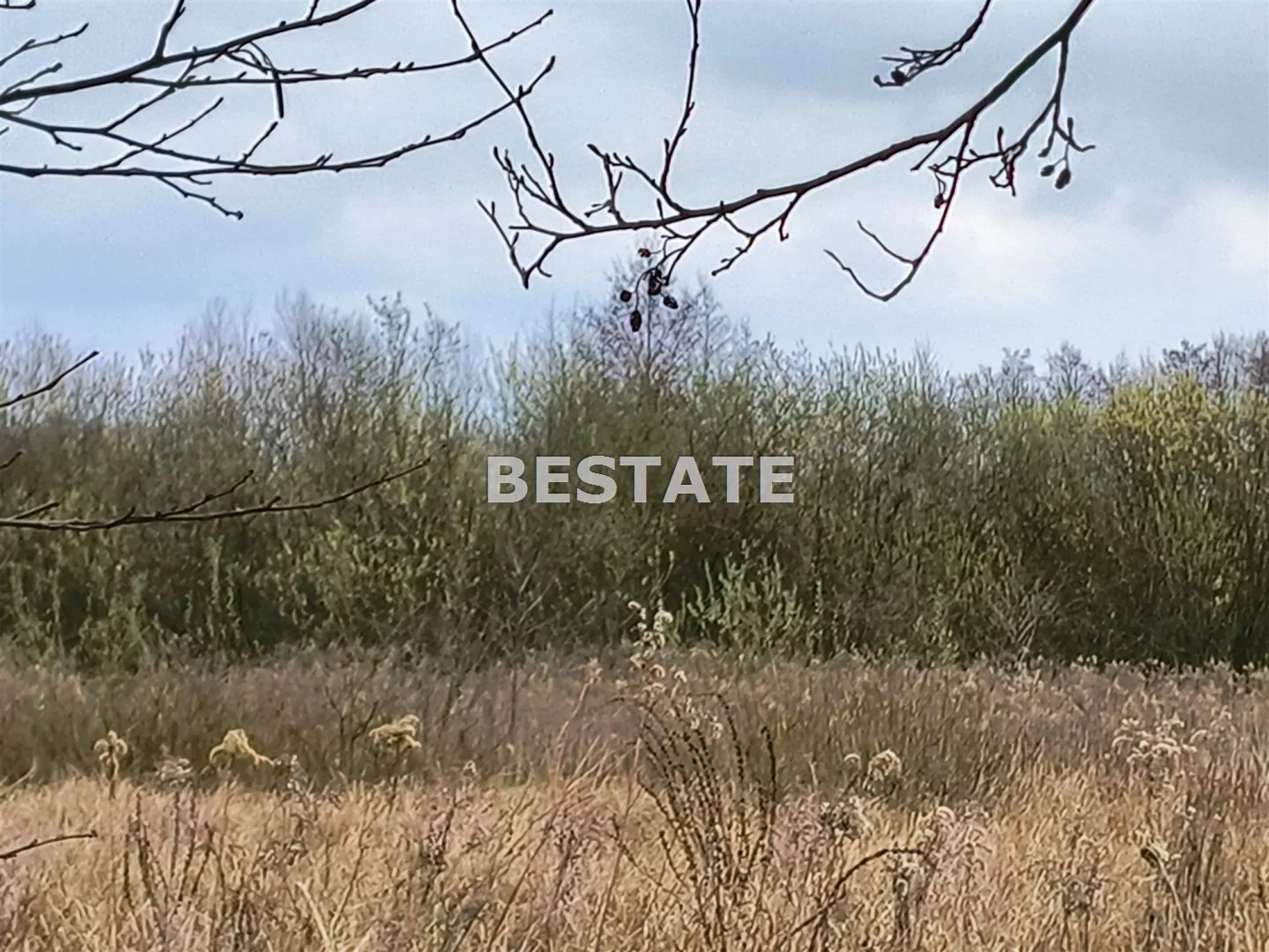 BESW-GS-14785 - zdjęcie nr 2