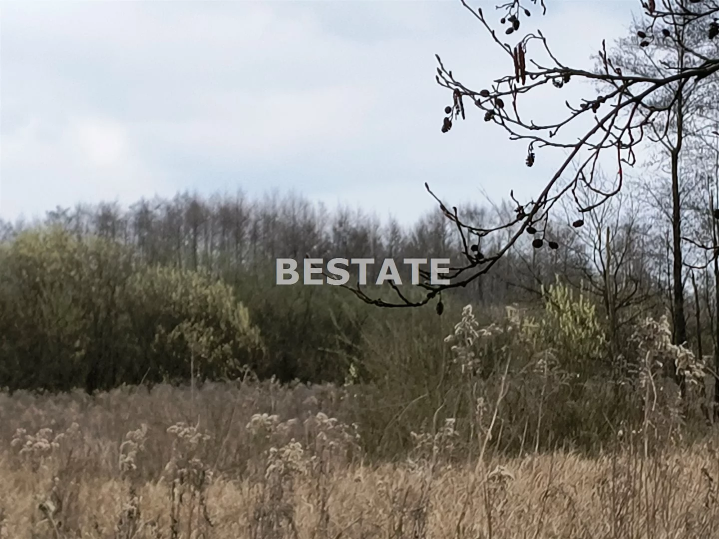 BESW-GS-14785 - zdjęcie nr 3