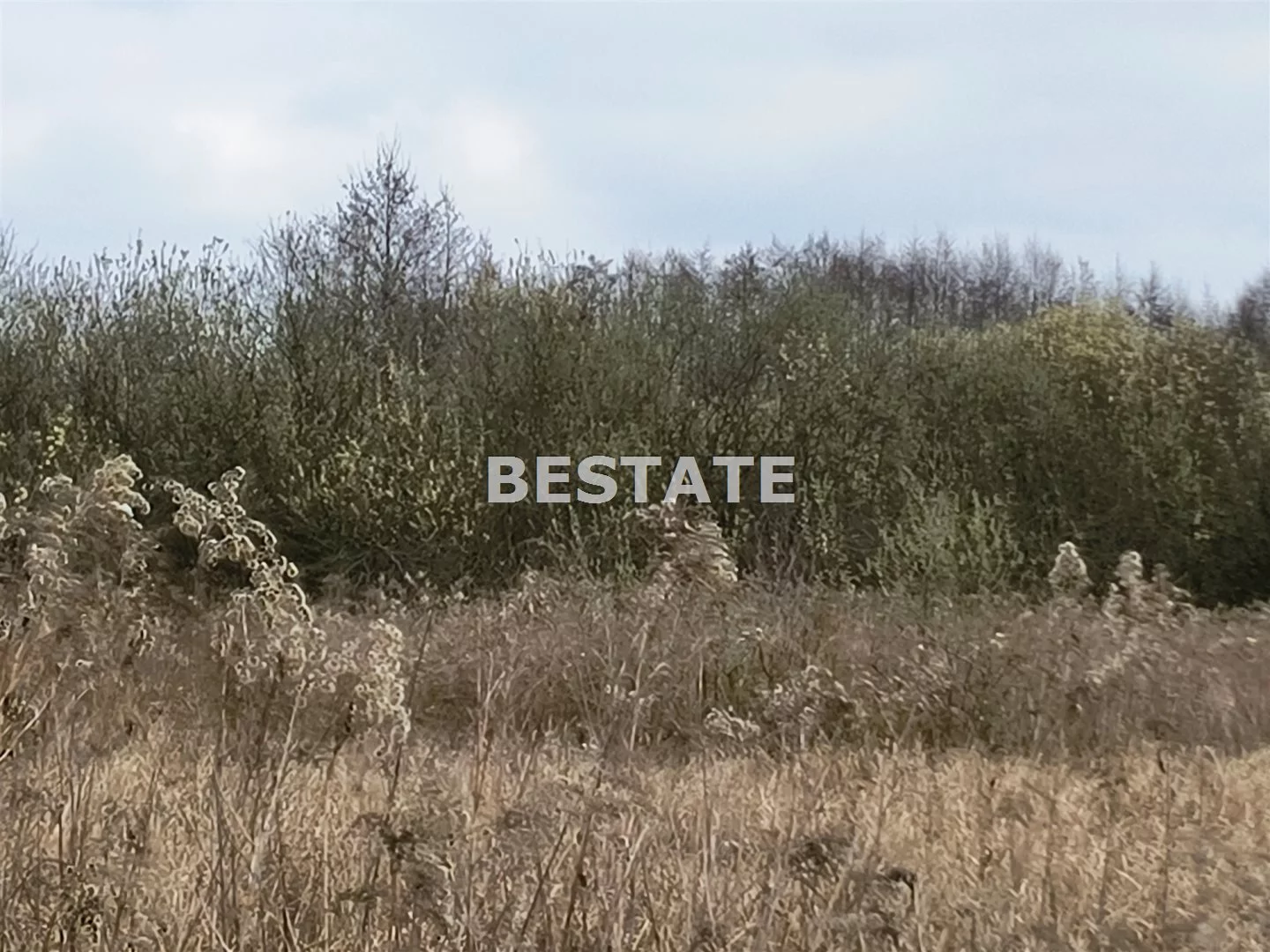BESW-GS-14785 - zdjęcie nr 4