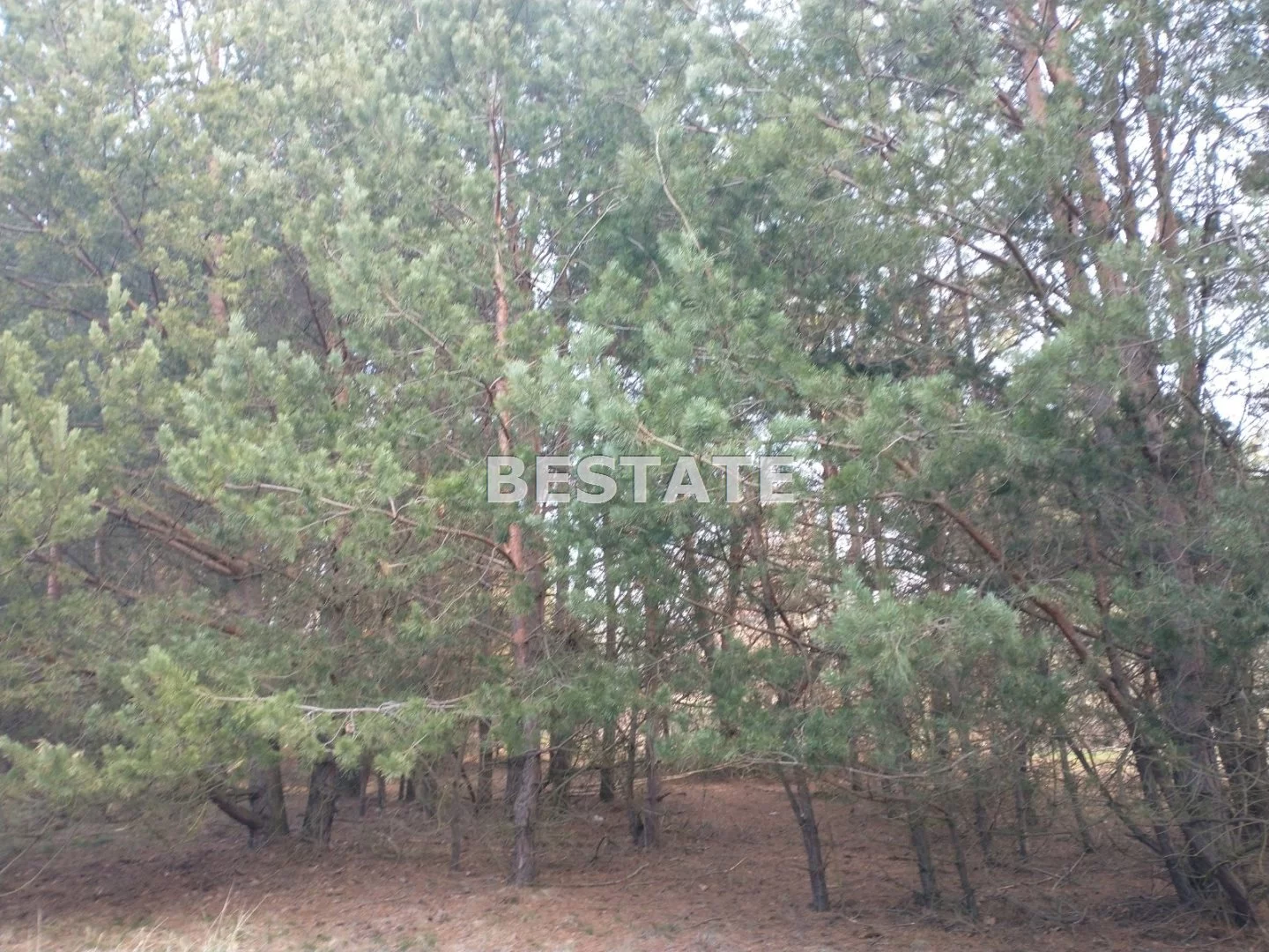 BESW-GS-14754 - zdjęcie nr 0