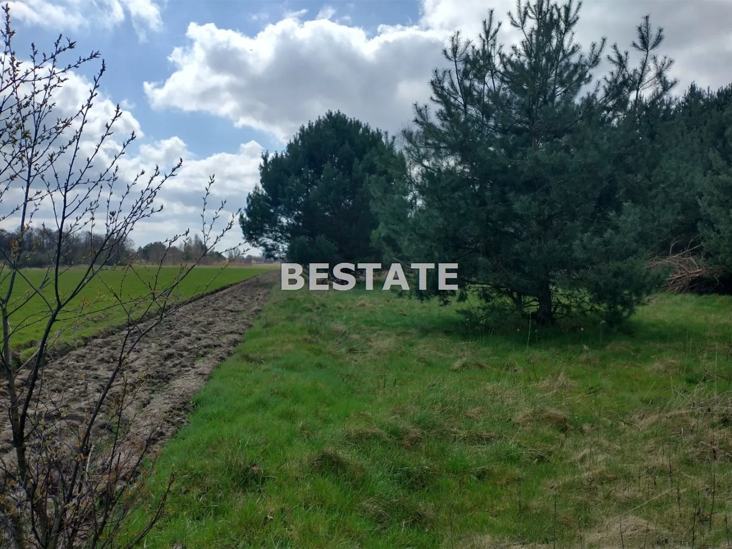 BESW-GS-14754 - zdjęcie nr 1
