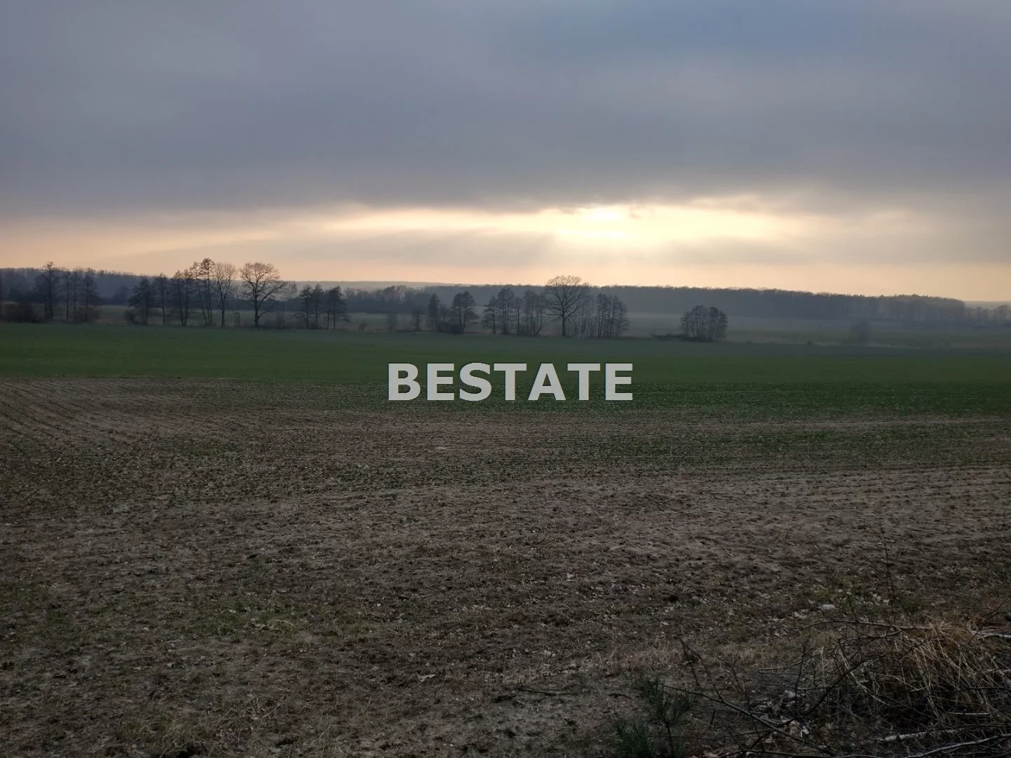 BESW-GS-14754 - zdjęcie nr 4