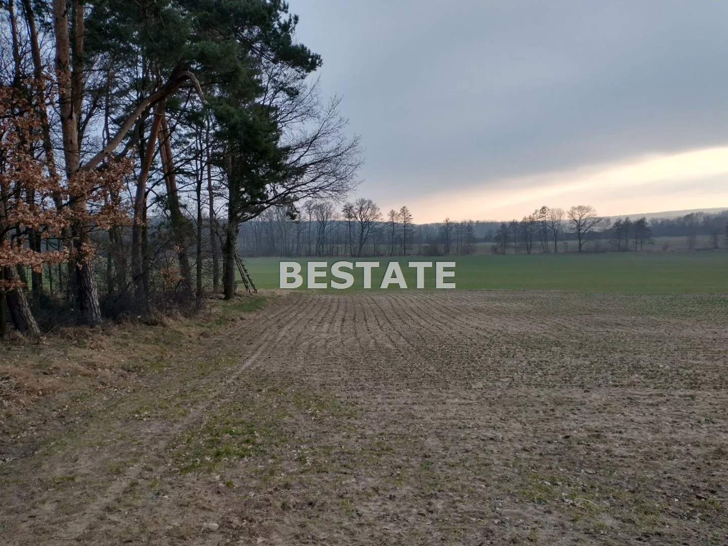 Działka 3 200,00 m², oferta nr , BESW-GS-14754, Oborniki Śląskie
