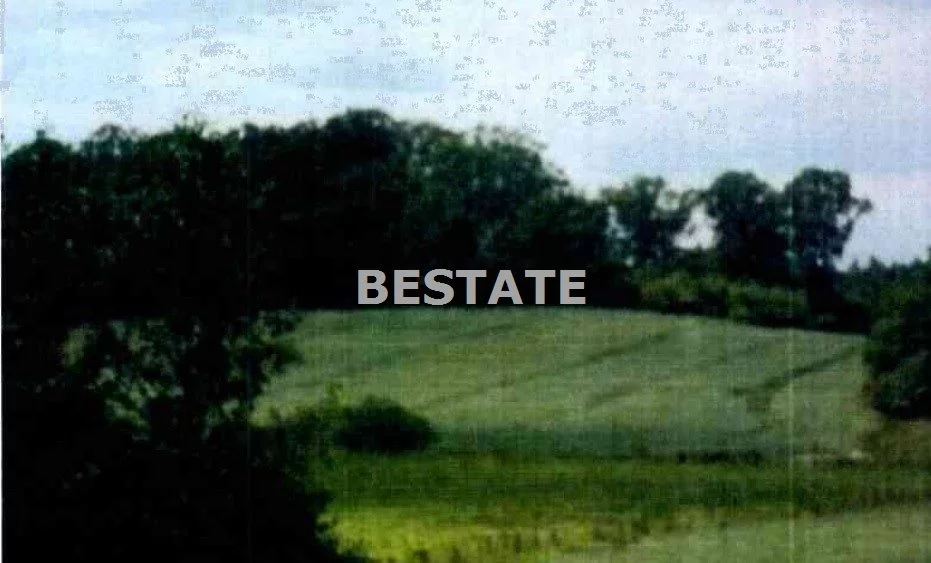BESW-GS-12974 - zdjęcie nr 0