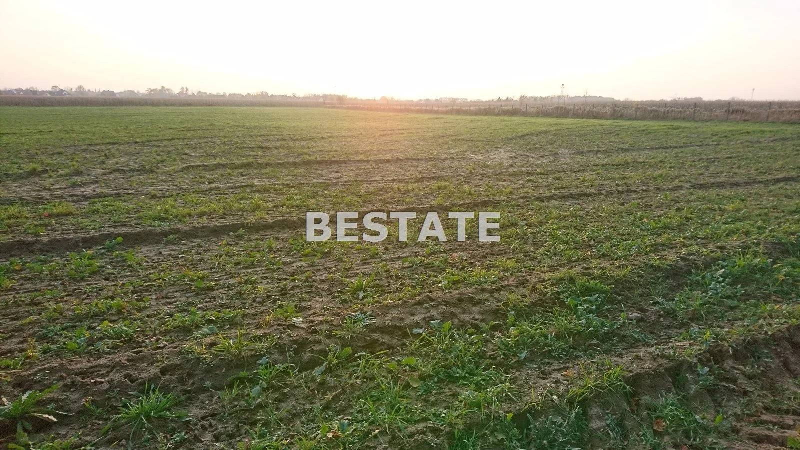 BESW-GS-13837 - zdjęcie nr 0