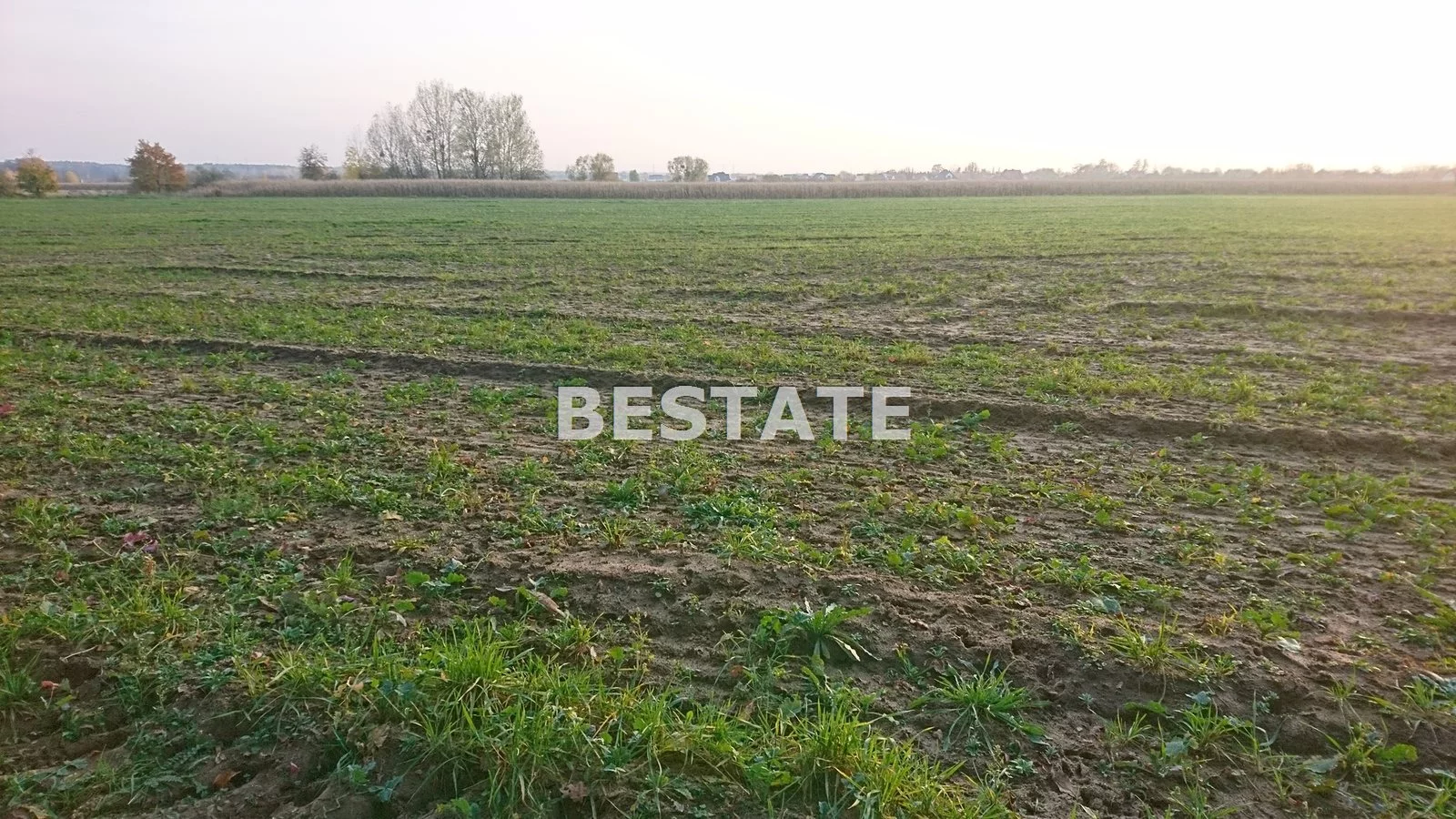 BESW-GS-13837 - zdjęcie nr 1
