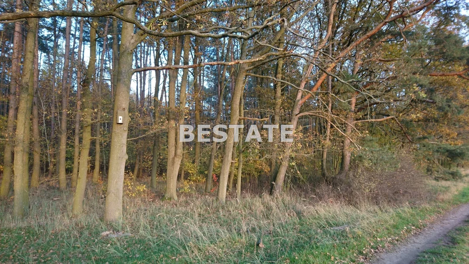 BESW-GS-13837 - zdjęcie nr 2
